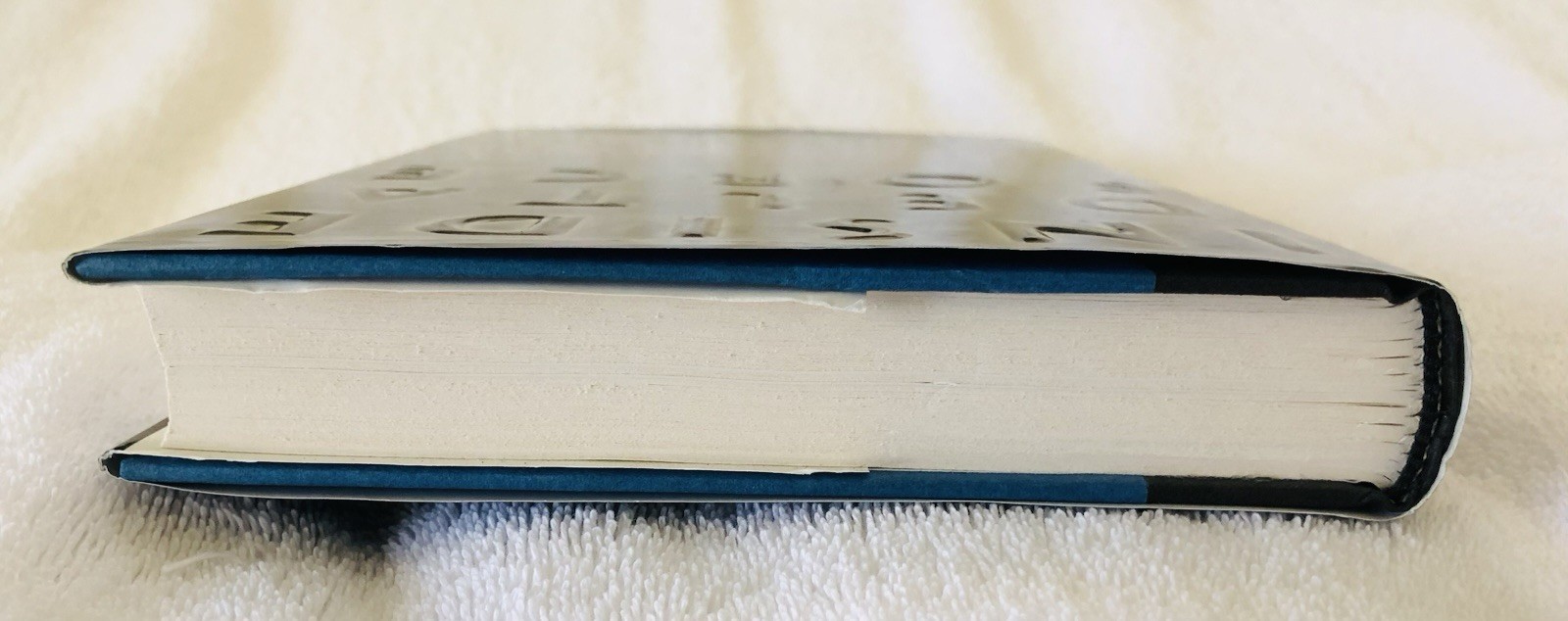 INSIDE DELTA FORCE: ERIC HANEY / HARDCOVER 1st Ed. “FINE/FINE”