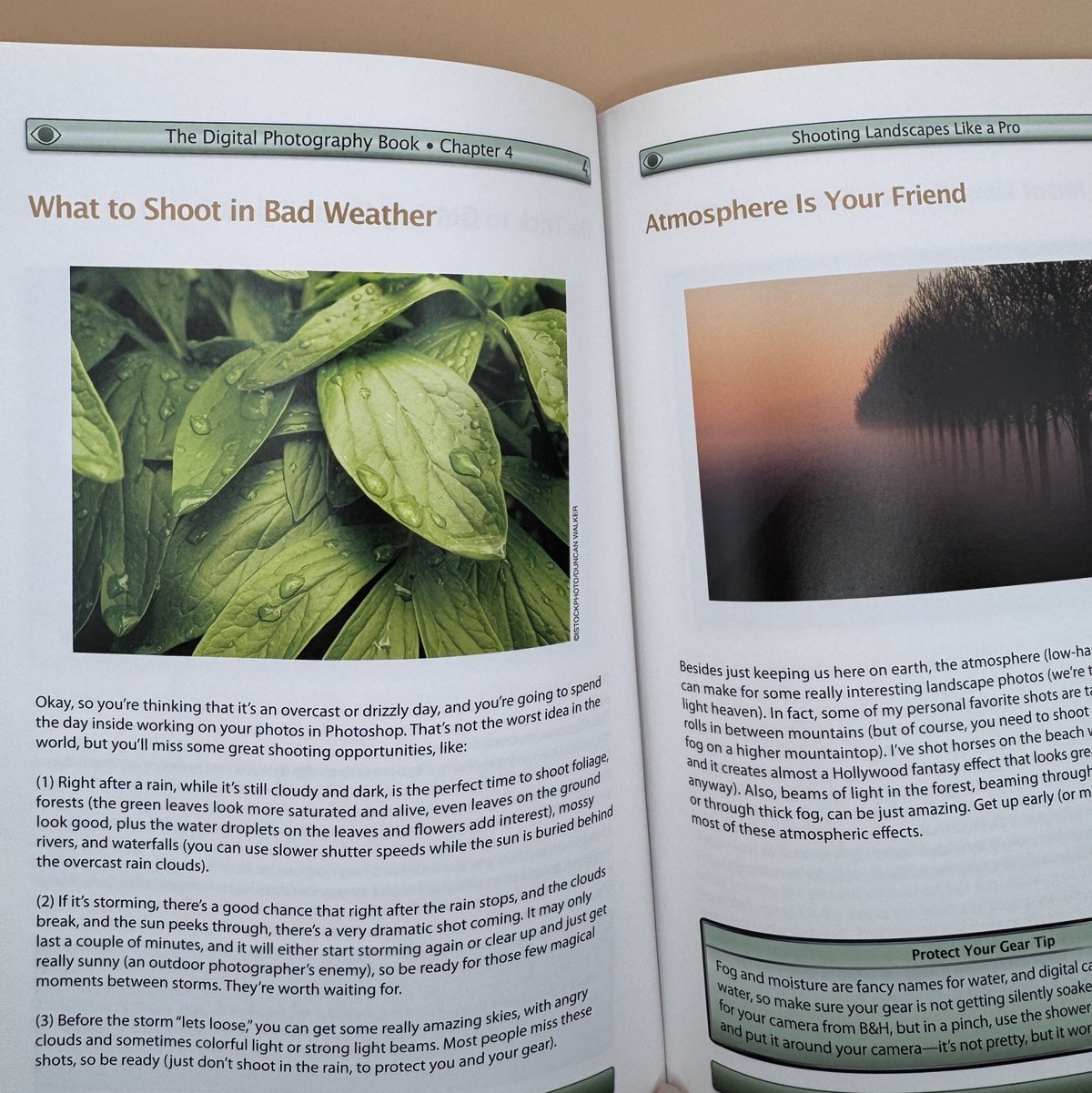 The Digital Photography Book Volume 1 by Scott Kelby