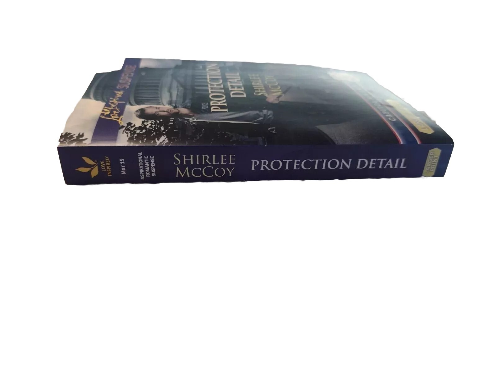 PROTECTION DUTY: AN ANTHOLOGY By Shirlee Mccoy & Terri Reed **Mint Condition**