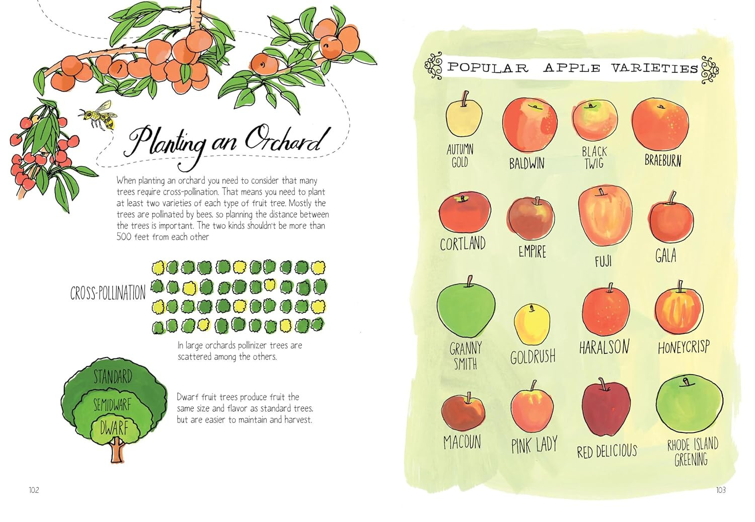 Farm Anatomy: the Curious Parts and Pieces of Country Life