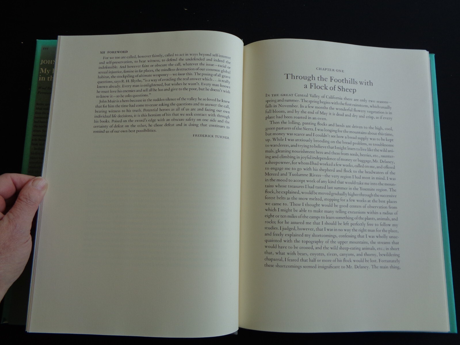 John Muir My First Summer in the Sierra 1988 Wood Engravings by Michael McCurdy