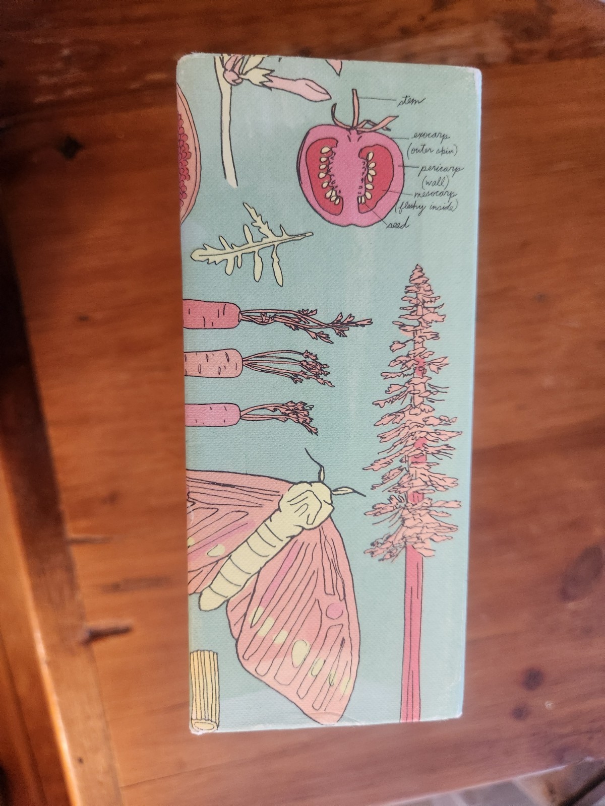 Julia Rothman Collection : Farm Anatomy, Nature Anatomy, and Food Anatomy