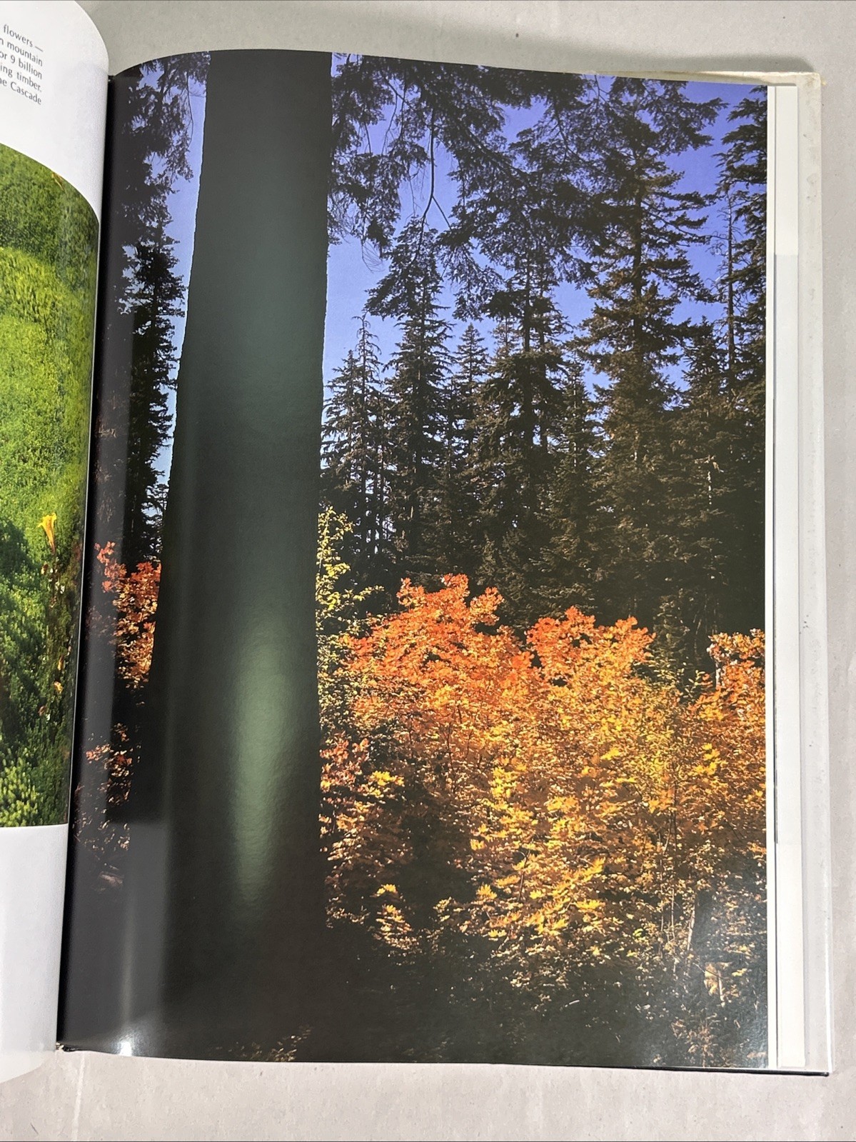 Oregon III Table Top Book Photography by Ray Atkeson Text by Richard Ross 1987