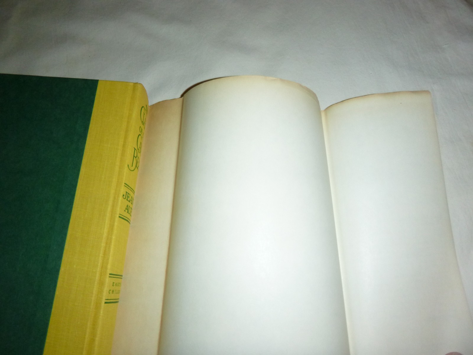 The Clan of the Cave Bear – 1st Ed. /1st Printing Jean M. Auel 1980 HC SIGNED