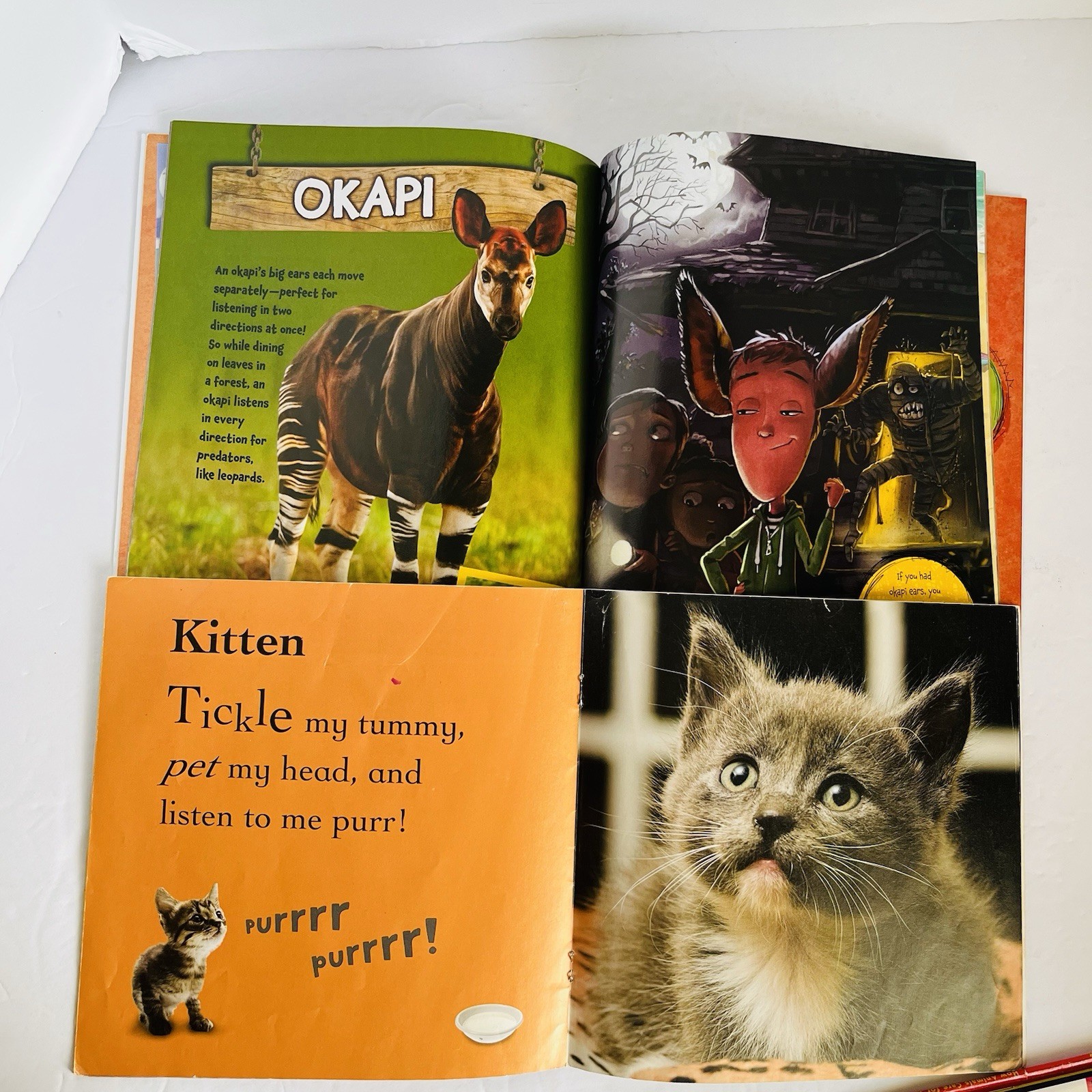 Animal Science Nature Book Lot 8 Classroom Homeschool Hibernation Baby STEM
