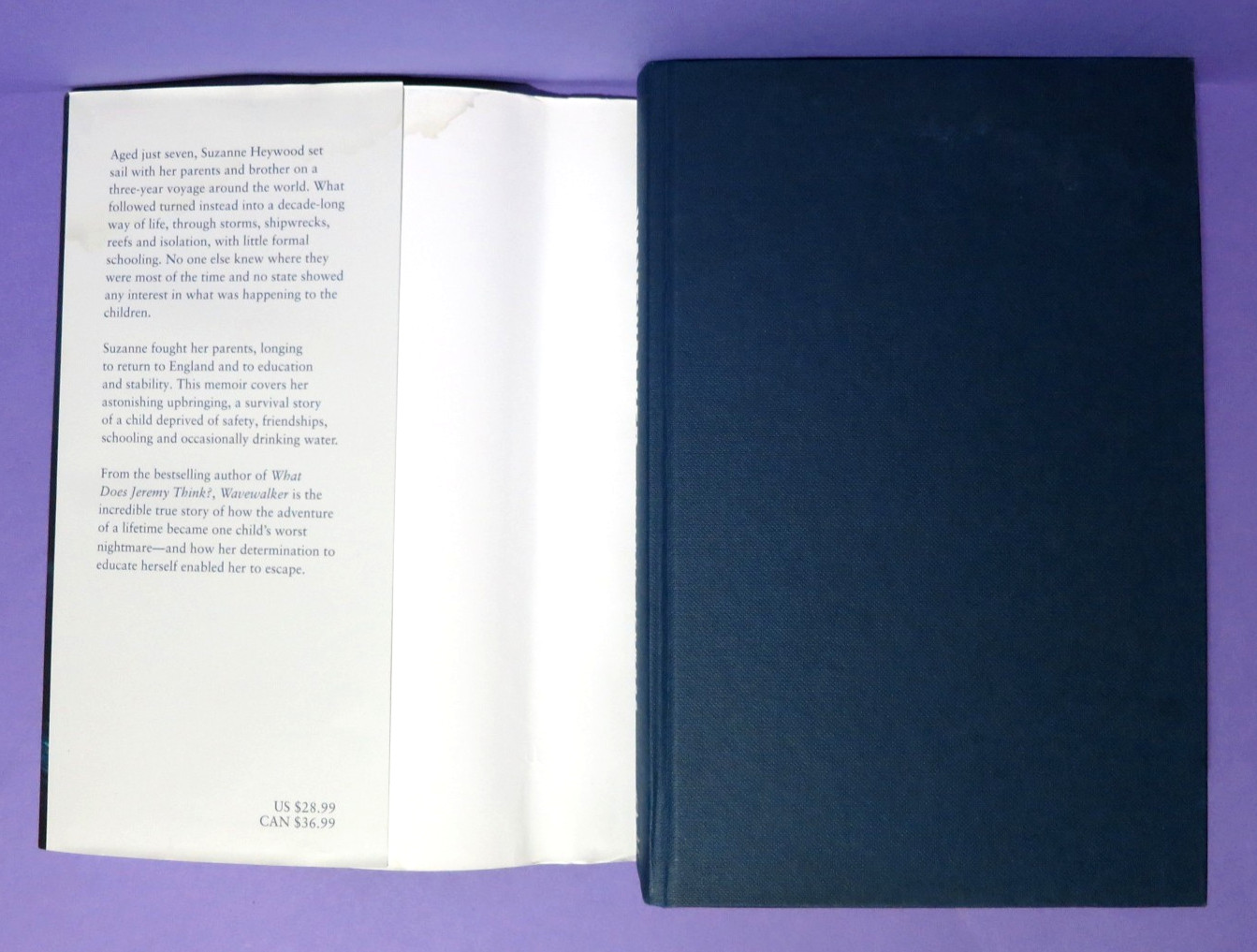 Wavewalker by Suzanne Heywood 1st Edition/1st Print Hardcover DJ