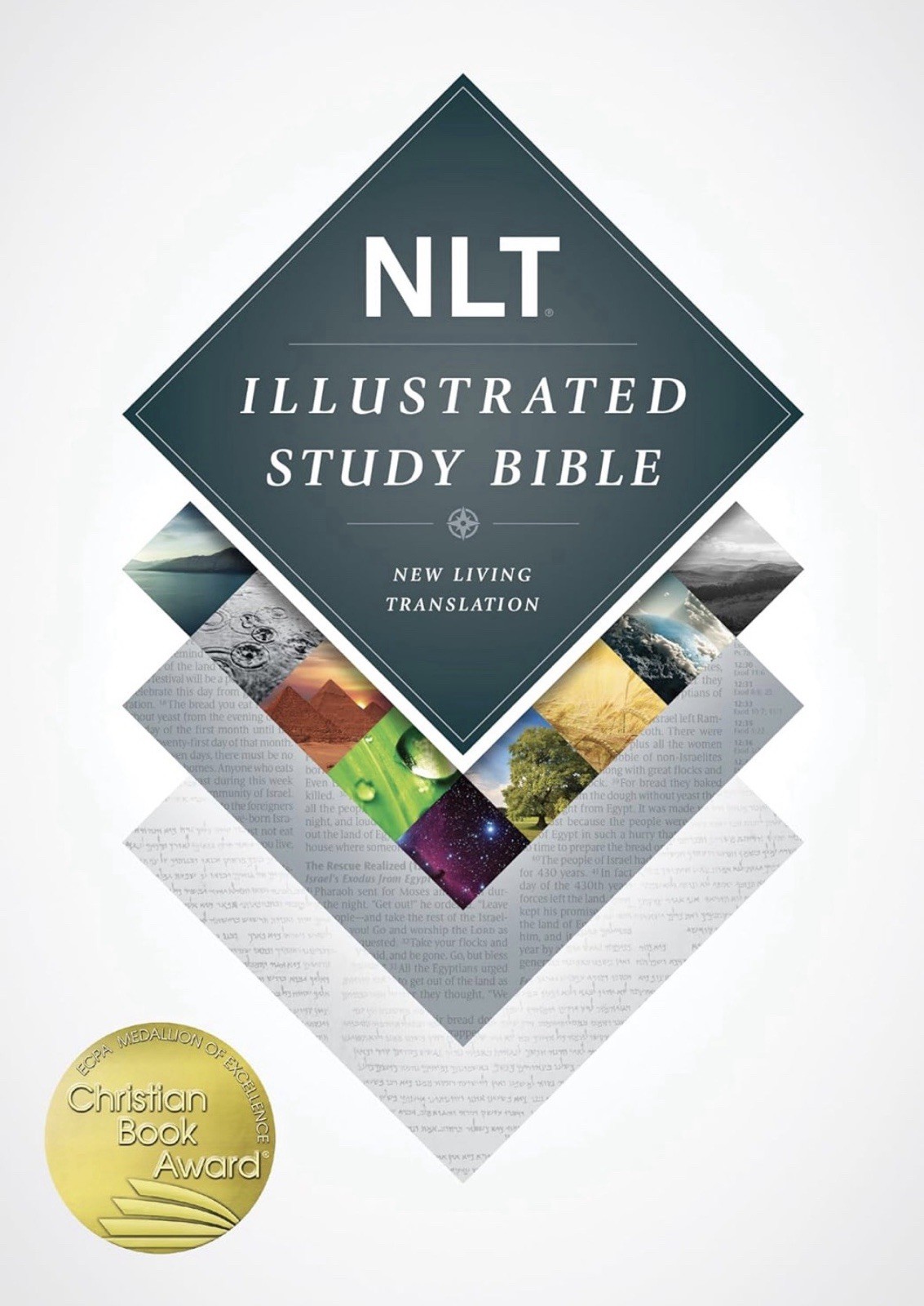 Illustrated Study Bible by New Living Translation (2015, Hardcover)