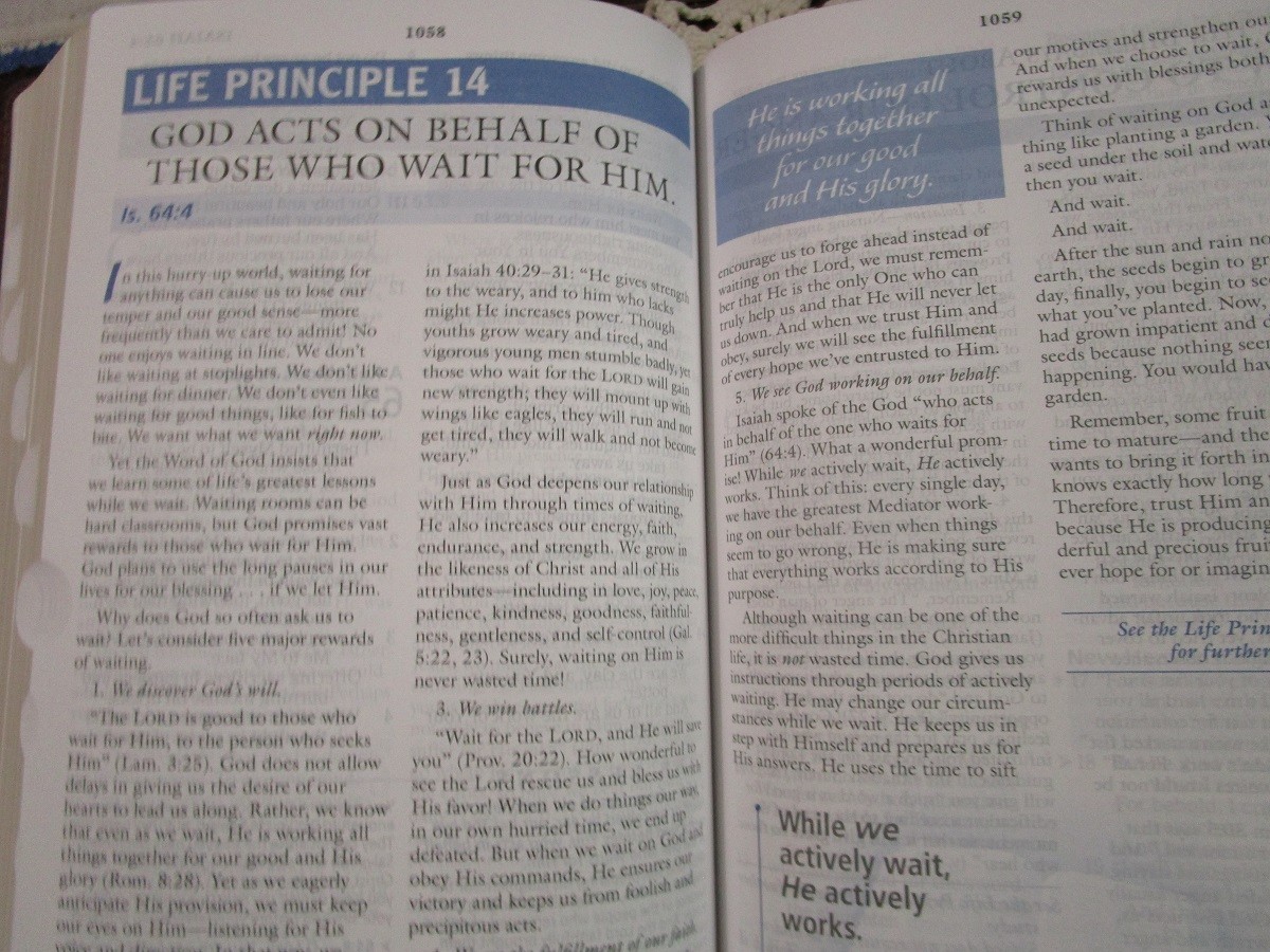 NASB Charles Stanley Life Principles Bible- Large Print INDEXED Burgundy LS-RARE