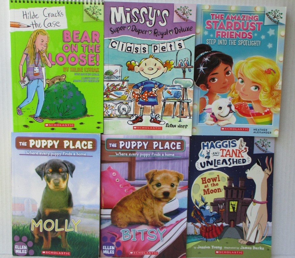 Lot of 40+ Chapter Paperback Books for GIRLS Youth Young Adult Children RANDOM