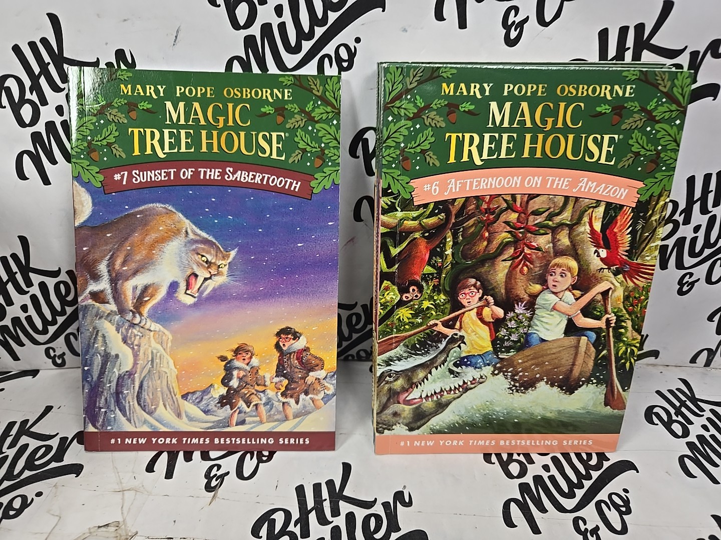 Magic Tree House & Ivy & Bean Chapter Book Lot of 22 Early Reader Books Ages 6-9