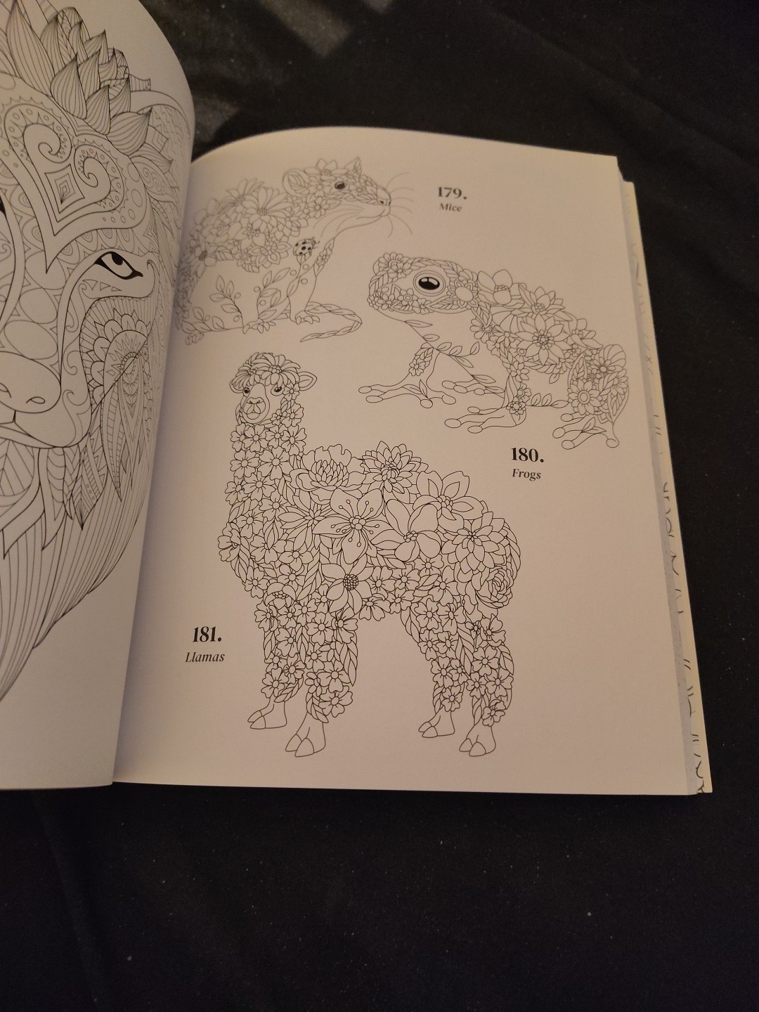 Gratitude 365 Coloring Book Mindful Coloring Every Day Adult Kids All Ages