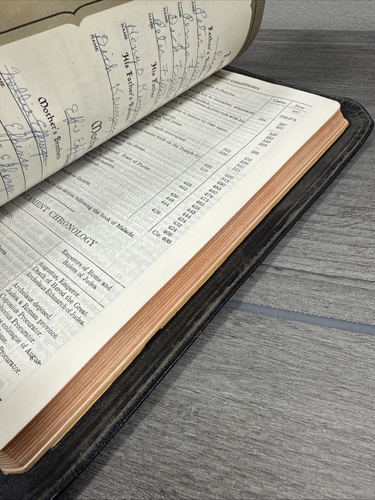 Holy Bible New Analytical Indexed Edition MOROCCO LEATHER Concordance Dickson