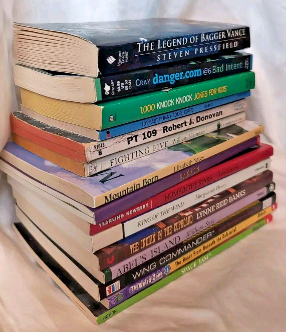 Books For Pre Teens Lot Of 16 Fiction Paperback