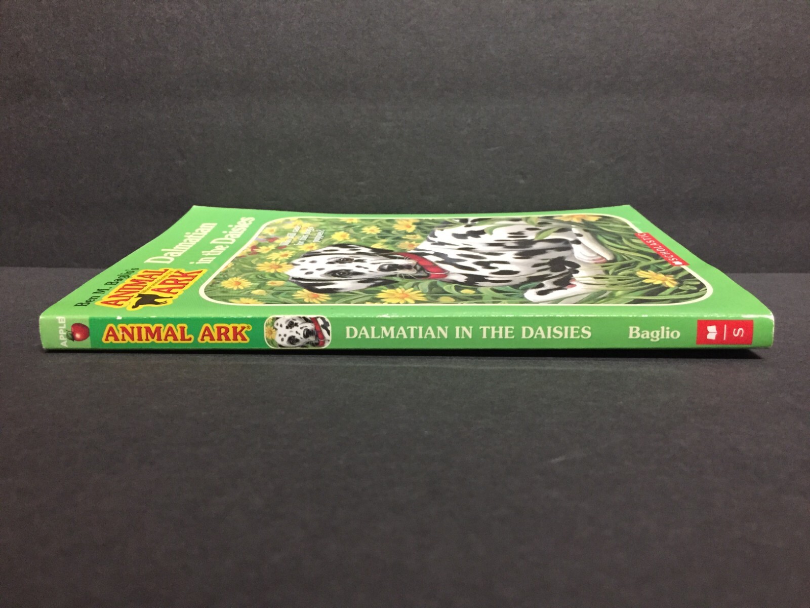 Dalmatian in the Daisies by Ben M. Baglio Scholastic Paperback