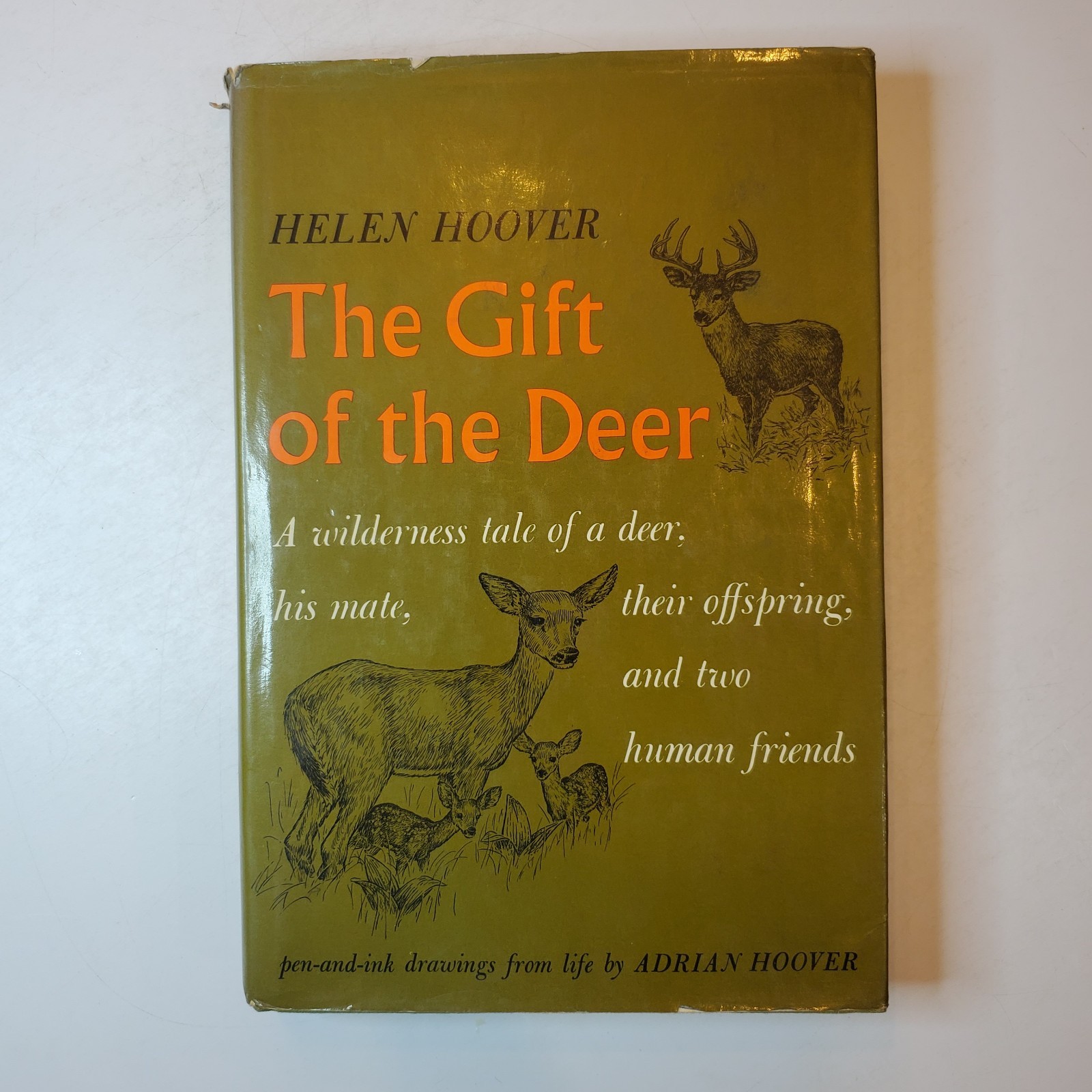 The Gift of the Deer Helen Hoover illustrated HC/DJ 1970 Borzoi Illustrated Ink