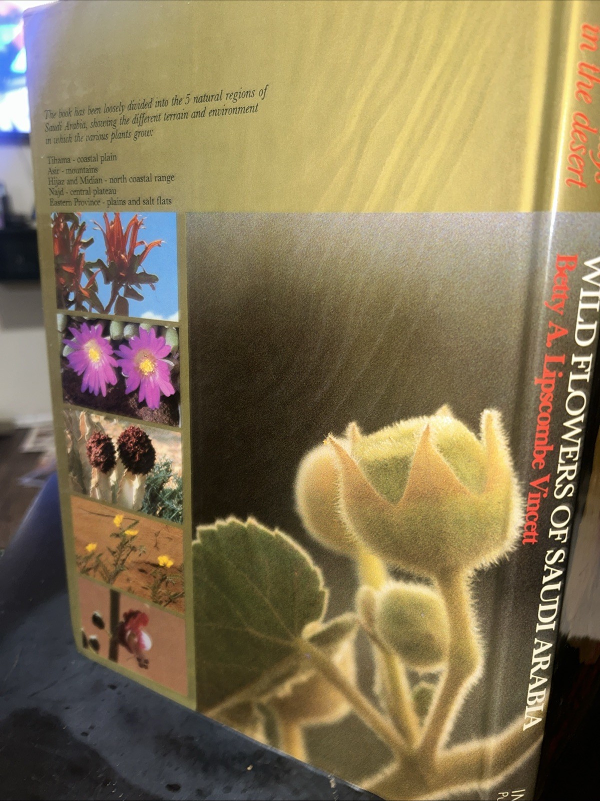 Golden Days in the Desert: Wild Flowers of Saudi Arabia