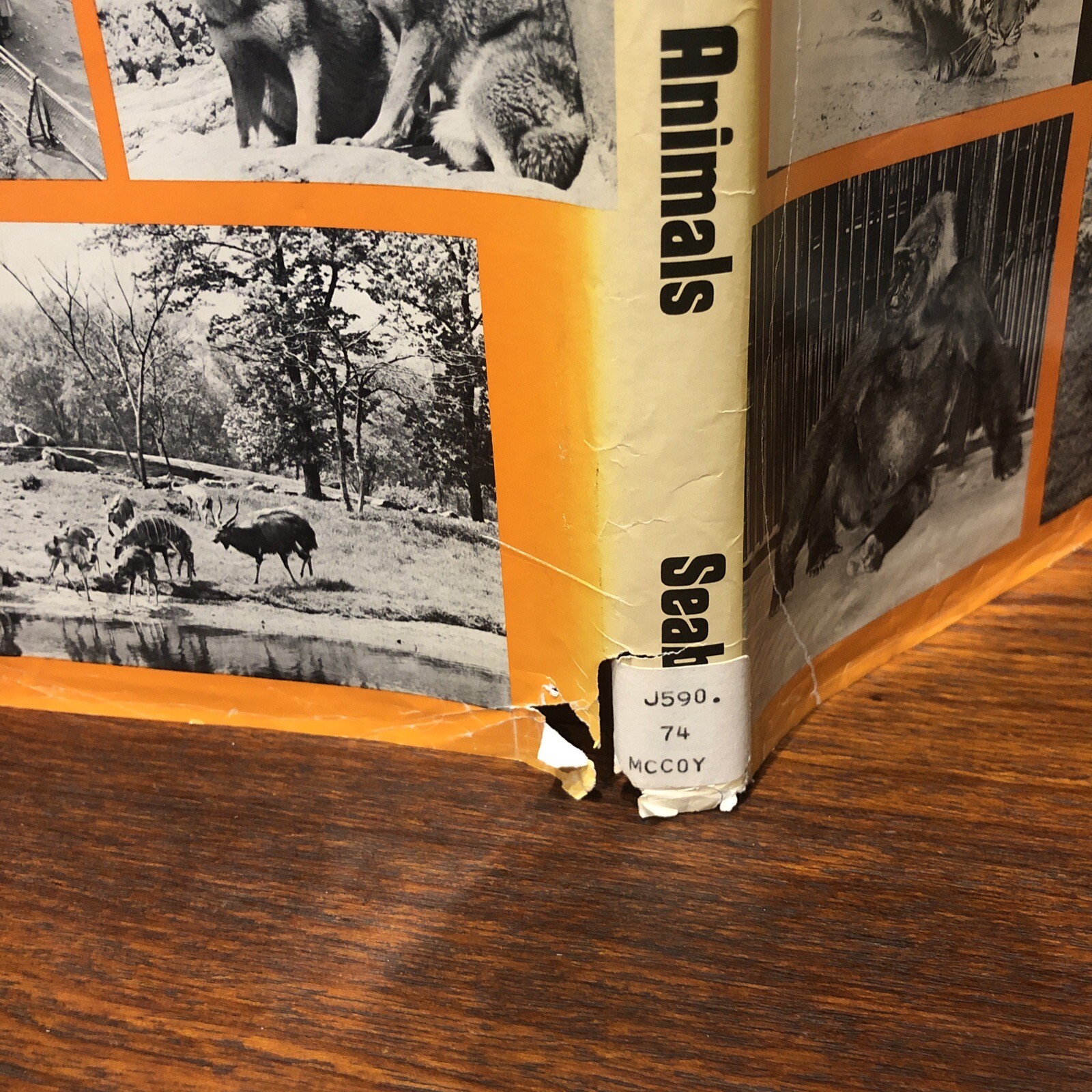 ‘OUR CAPTIVE ANIMALS’- J.J. McCOY-1971-RARE 1ST EDITION HC/DJ- EXOTIC & DOMESTIC