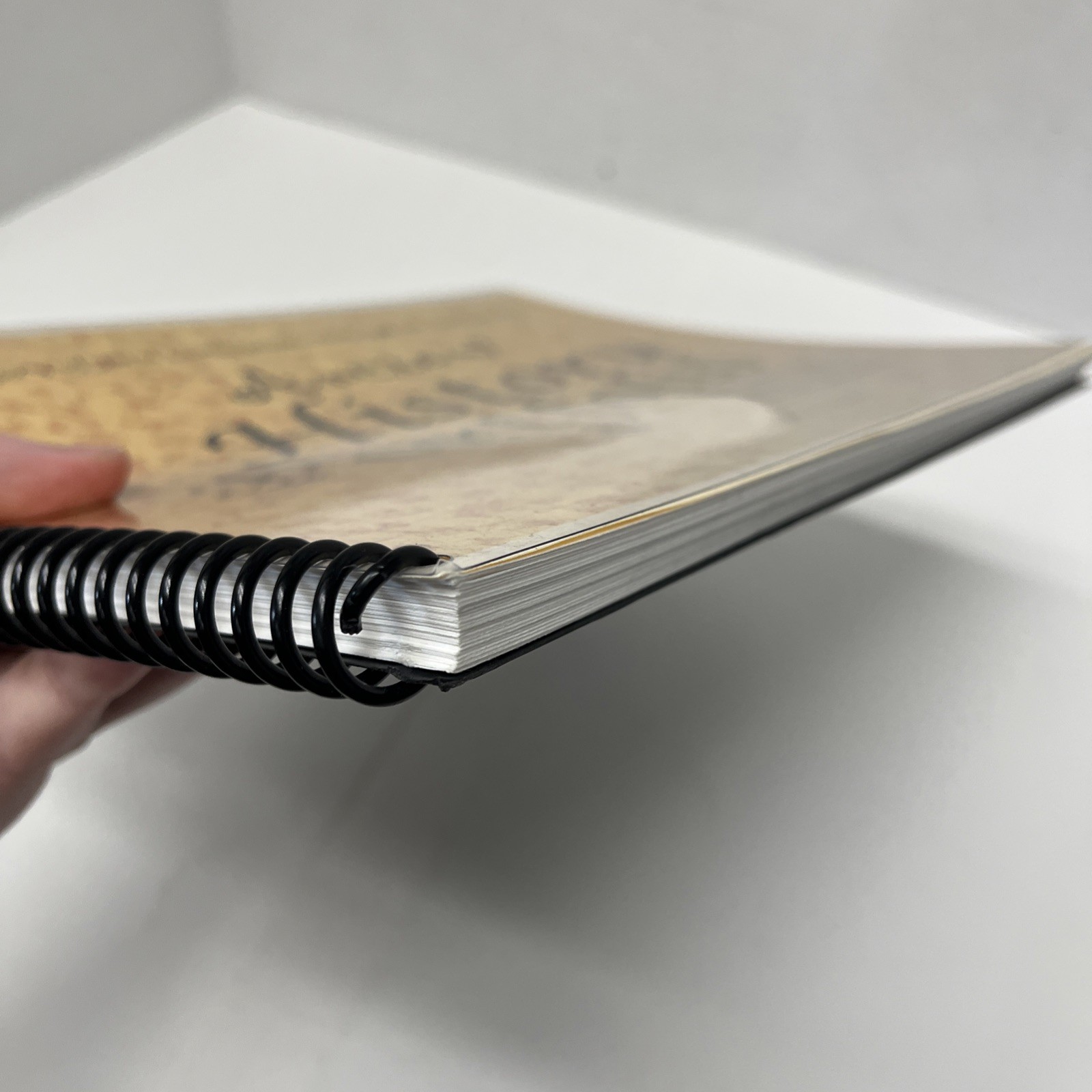 Ancient History Portfolio & Timeline Shukin