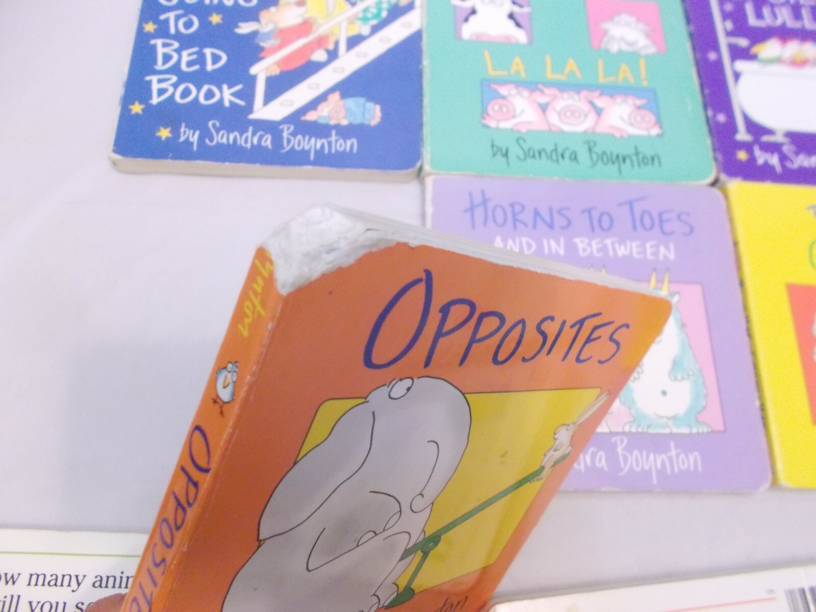 26 BOARD BOOKS SANDRA BOYNTON PLUS BEAR LADYBUG FIRAFFES BABY TIGER SILLY