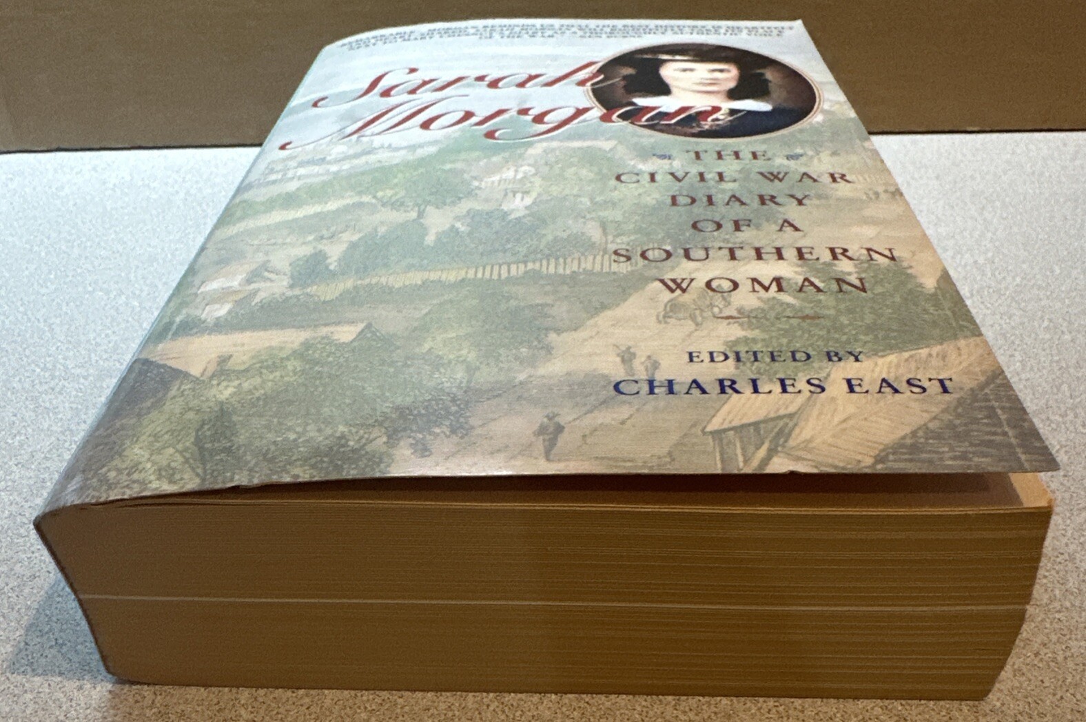 Sarah Morgan: The Civil War Diary of a Southern Woman by East, Charles 1991 PB