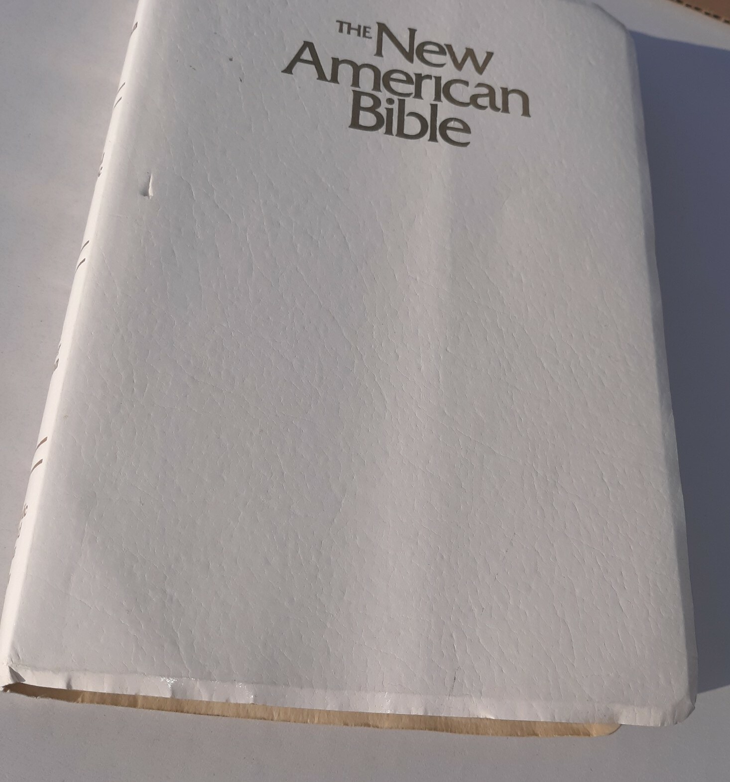 The New American Bible Official Catholic Bible Catholic World Press 2402W White
