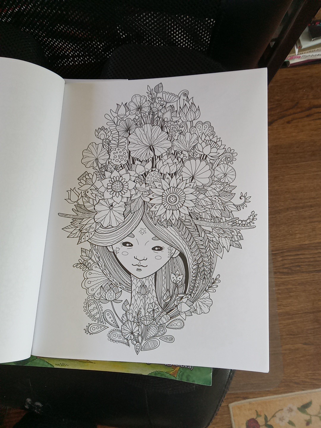 Lot Of 3 Whimsical Adult Coloring Books