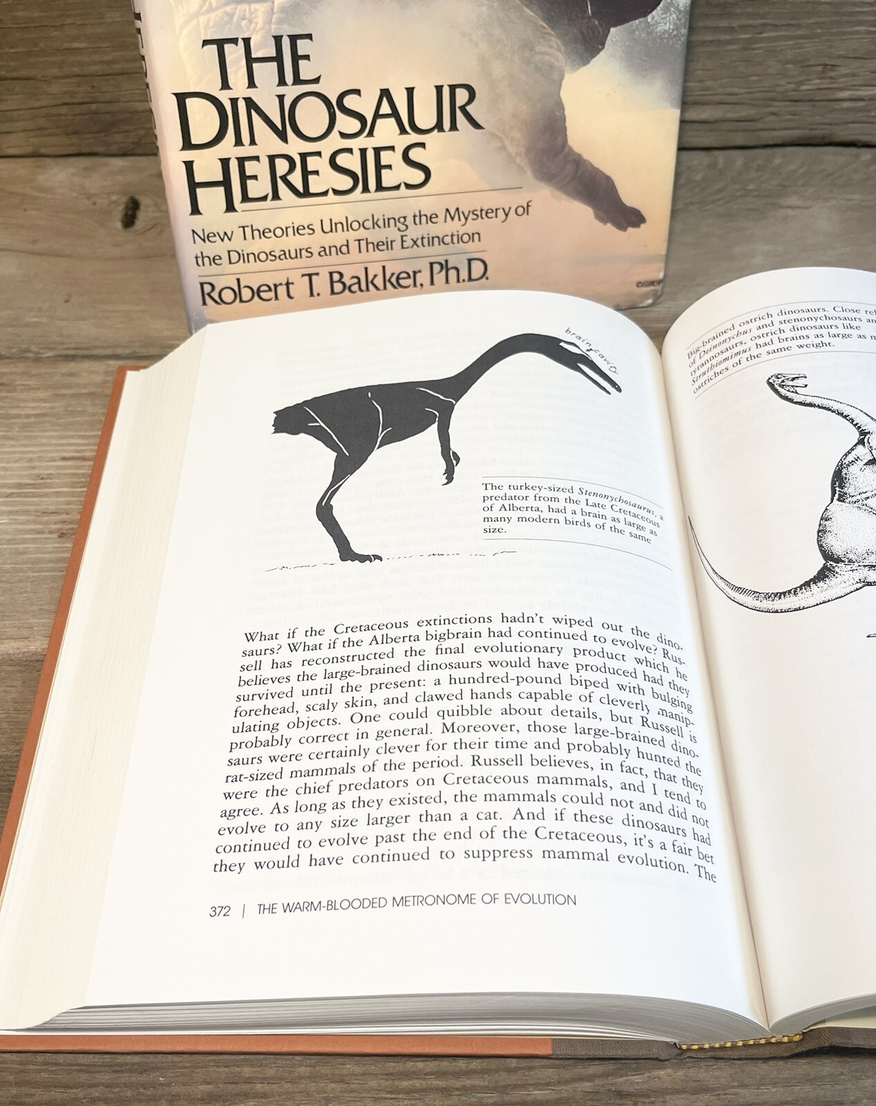 Bakker. The Dinosaur Heresies : New Theories Unlocking the Mystery of Dinosaurs
