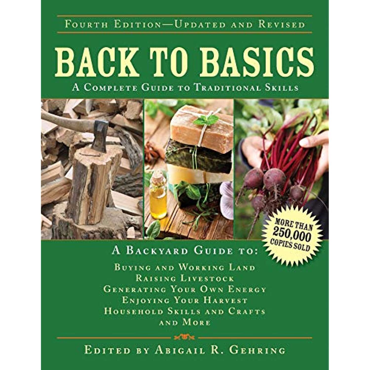 Back to Basics: A Complete Guide to Traditional Skills (Back to Basics Guides)