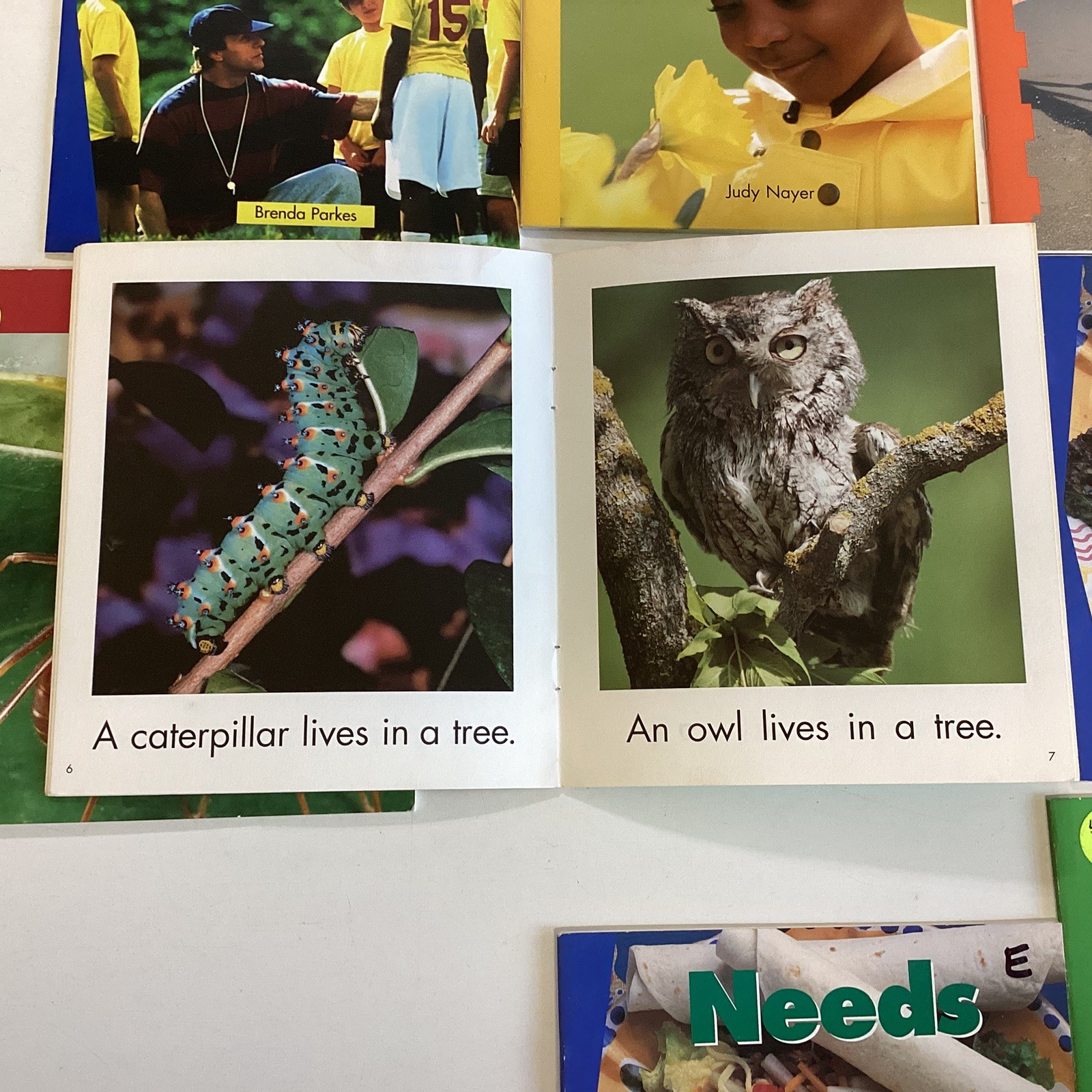 Kindergarten 18 Book Reader Lot Level A-C Newbridge Discovery Links