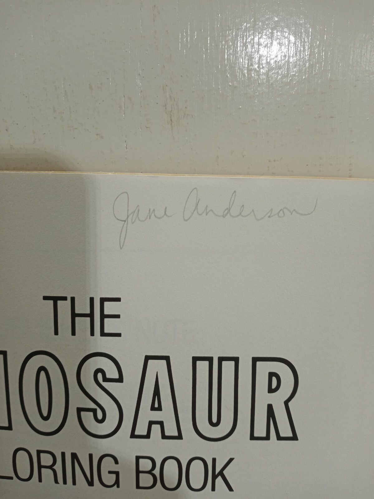 Vintage The Dinosaur Coloring Book by Anthony Rao Dover Publishing 46 Pgs 1980.