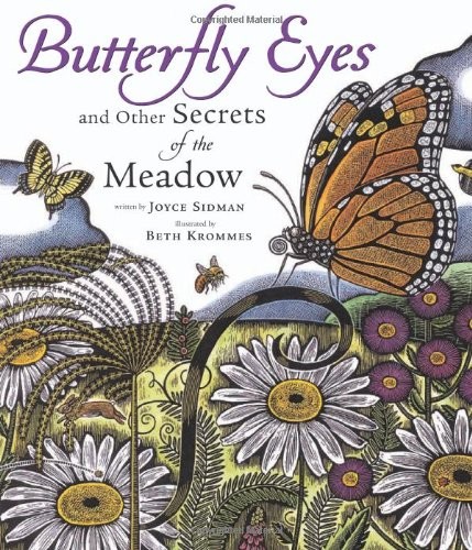 Butterfly Eyes and Other Secrets of the Meadow by Sidman, Joyce