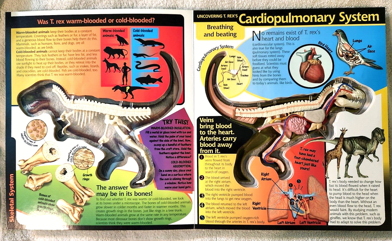 Take A Three-Dimensional Look Inside a T-Rex (2003 Readerlink Uncover Books Used