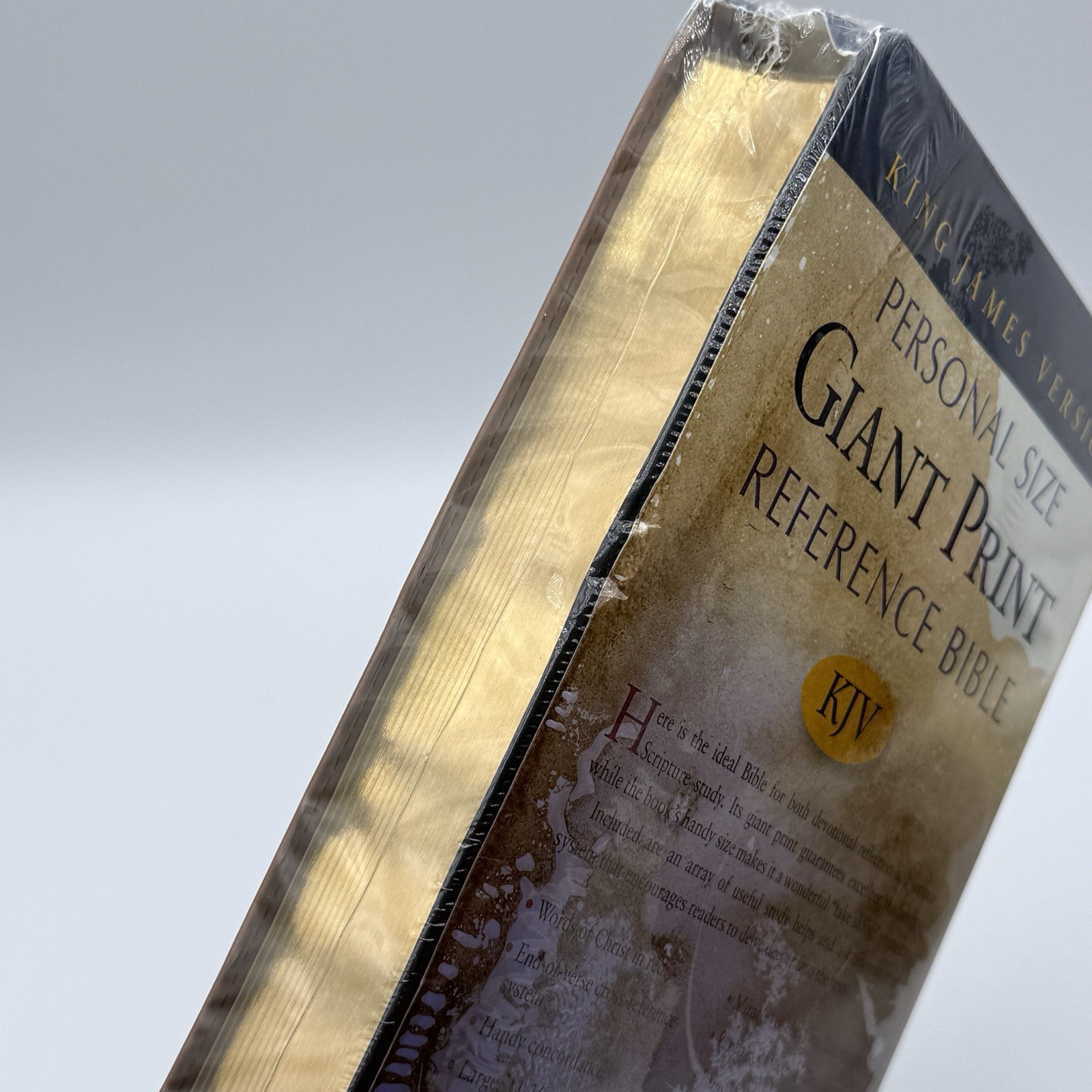 KJV Personal Size Giant Print Reference Bible by Hendrickson Imitation Leather