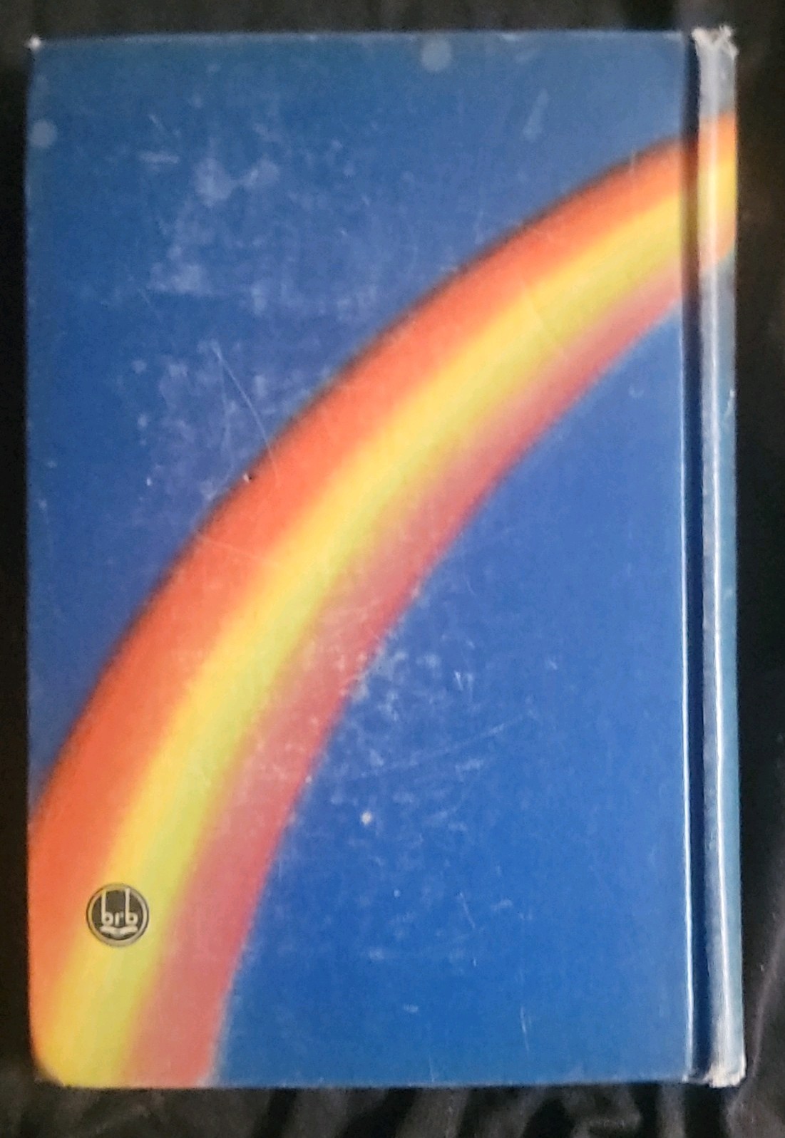 Richard E. Byrd Skyward Boy’s Edition Hardcover Aviation Nonfiction Young Adult