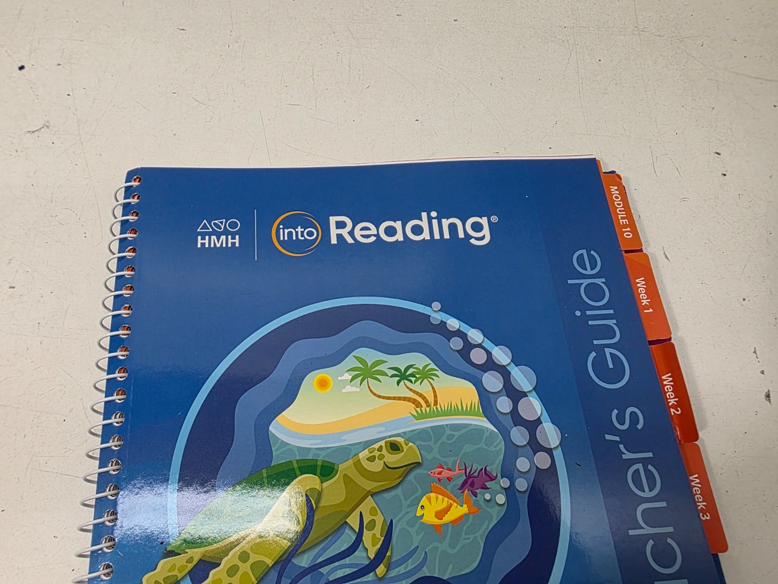 HMH Into Reading, Grade 4, Volume 4 (10-12) – Spiral by Alma Flor Ada