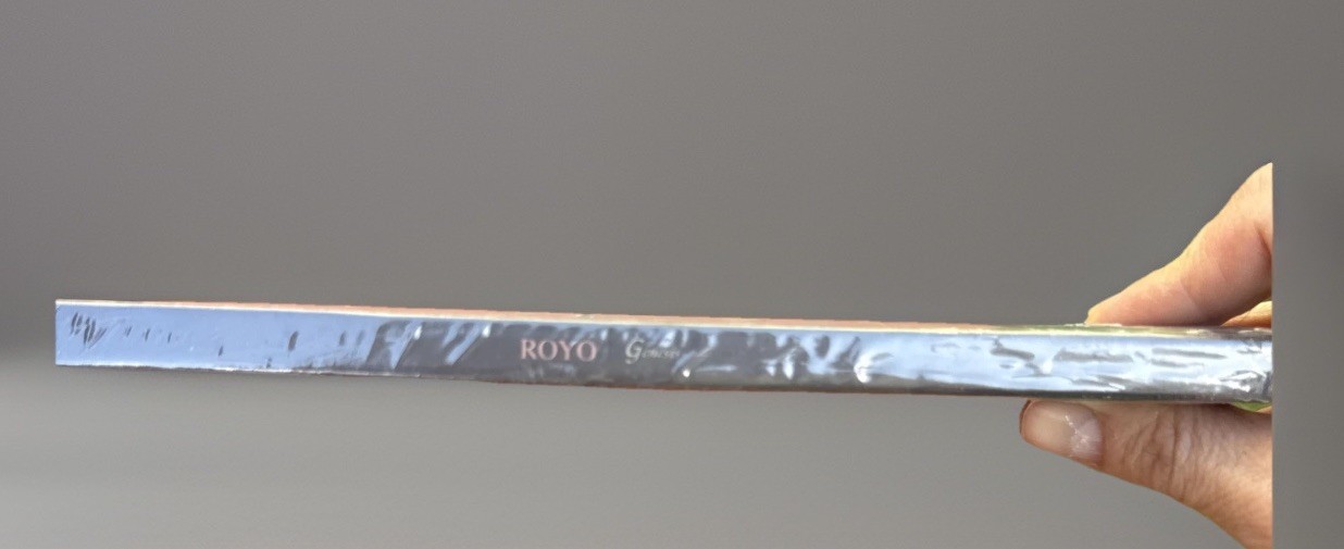 Royo: Genesis by Jose Royo Hard Cover Privately Published circa 2004 Art Catalog