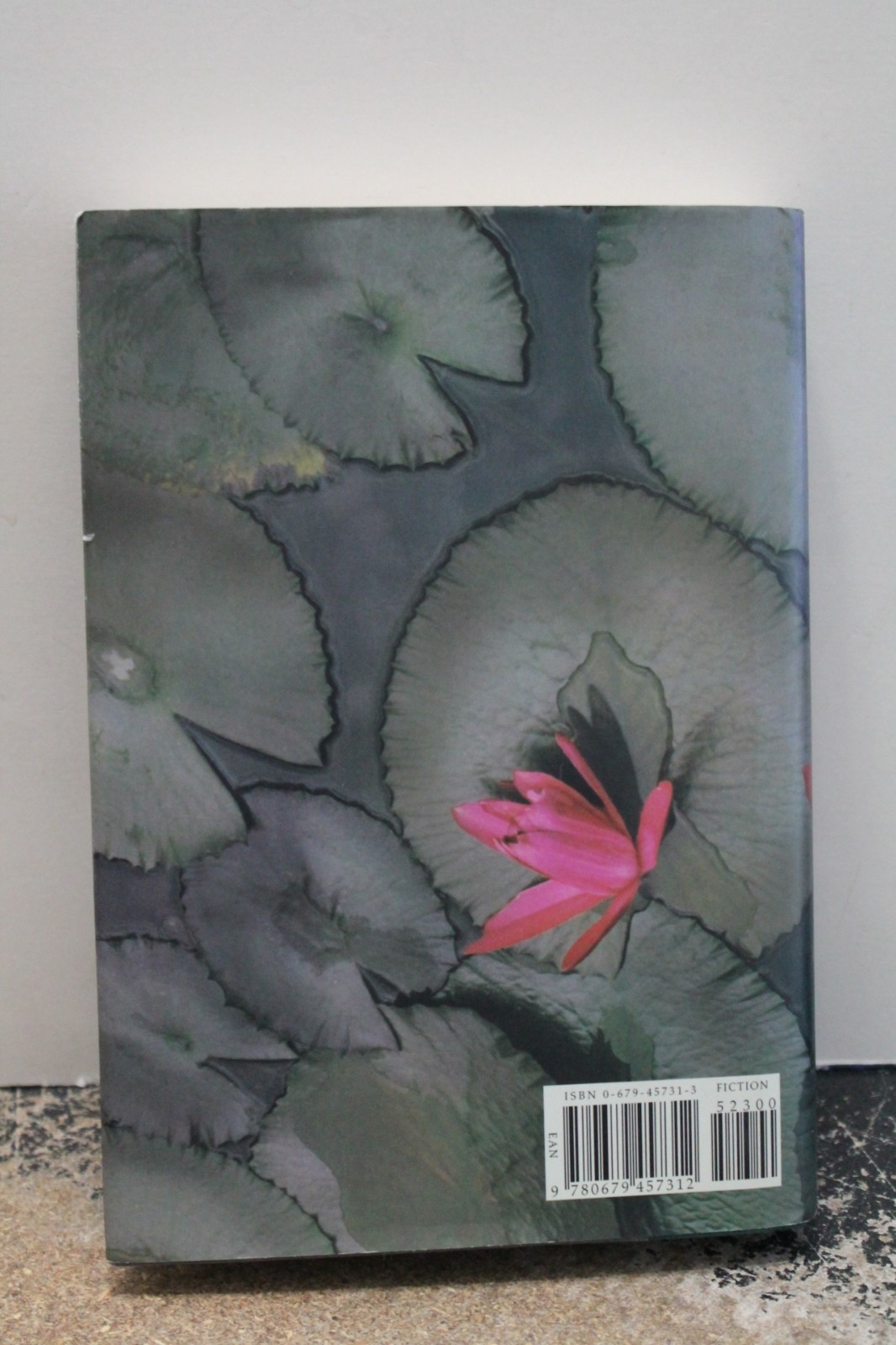 God of Small Things by Arundhati Roy (1997, Hardcover) Booker Prize winner