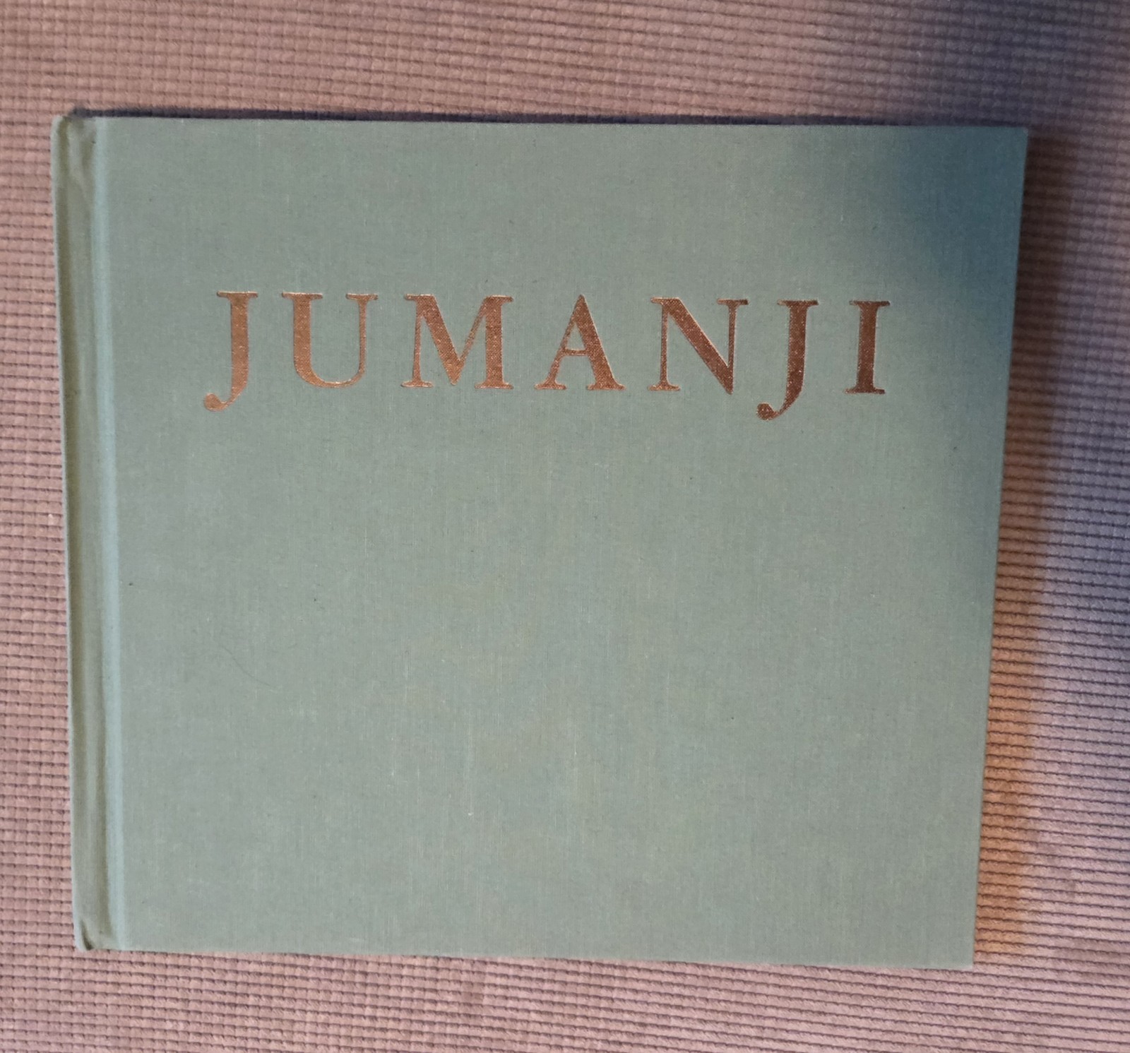 SIGNED JUMANJI by Chris Van Allsburg 1st Edition 1st Print 1981 Autographed 1992