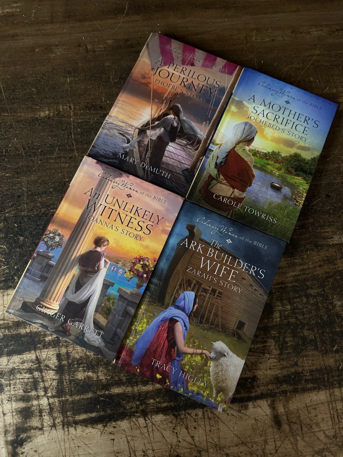Lot of 9 Ordinary Women of the Bibble Hardcover Books Fiction Bundle – GOOD