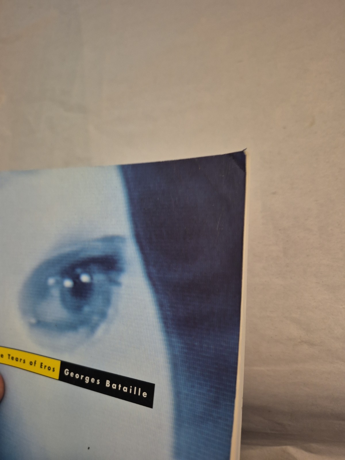 Tears of Eros by Georges Bataille TPB French Philosophy Violence Horror Abject