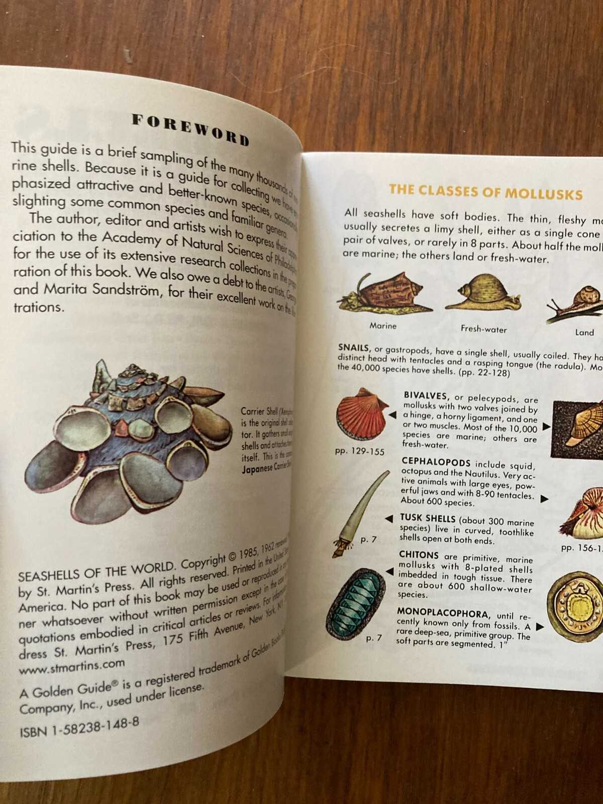 A Golden Guide from St. Martin’s Press Seashells of the World Life Tucker Abbott