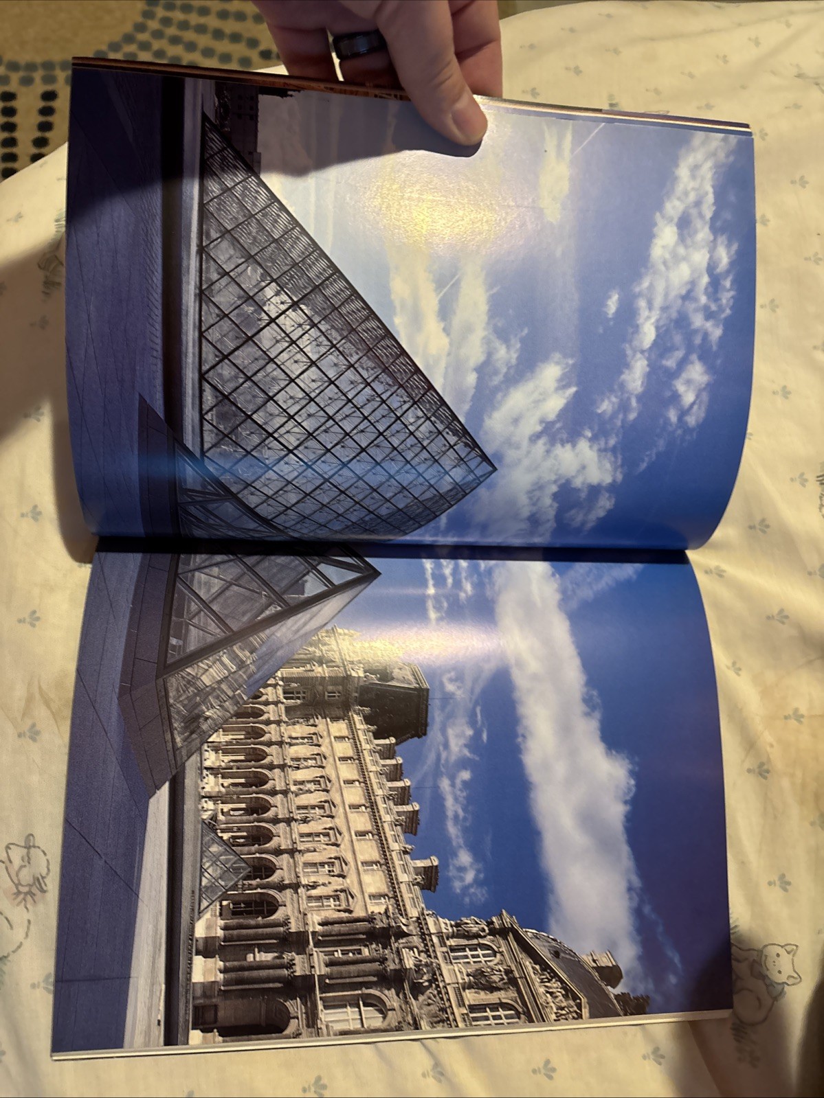 The Grand Louvre The Museum and Its Collections BeauxArts M1584 82 pages