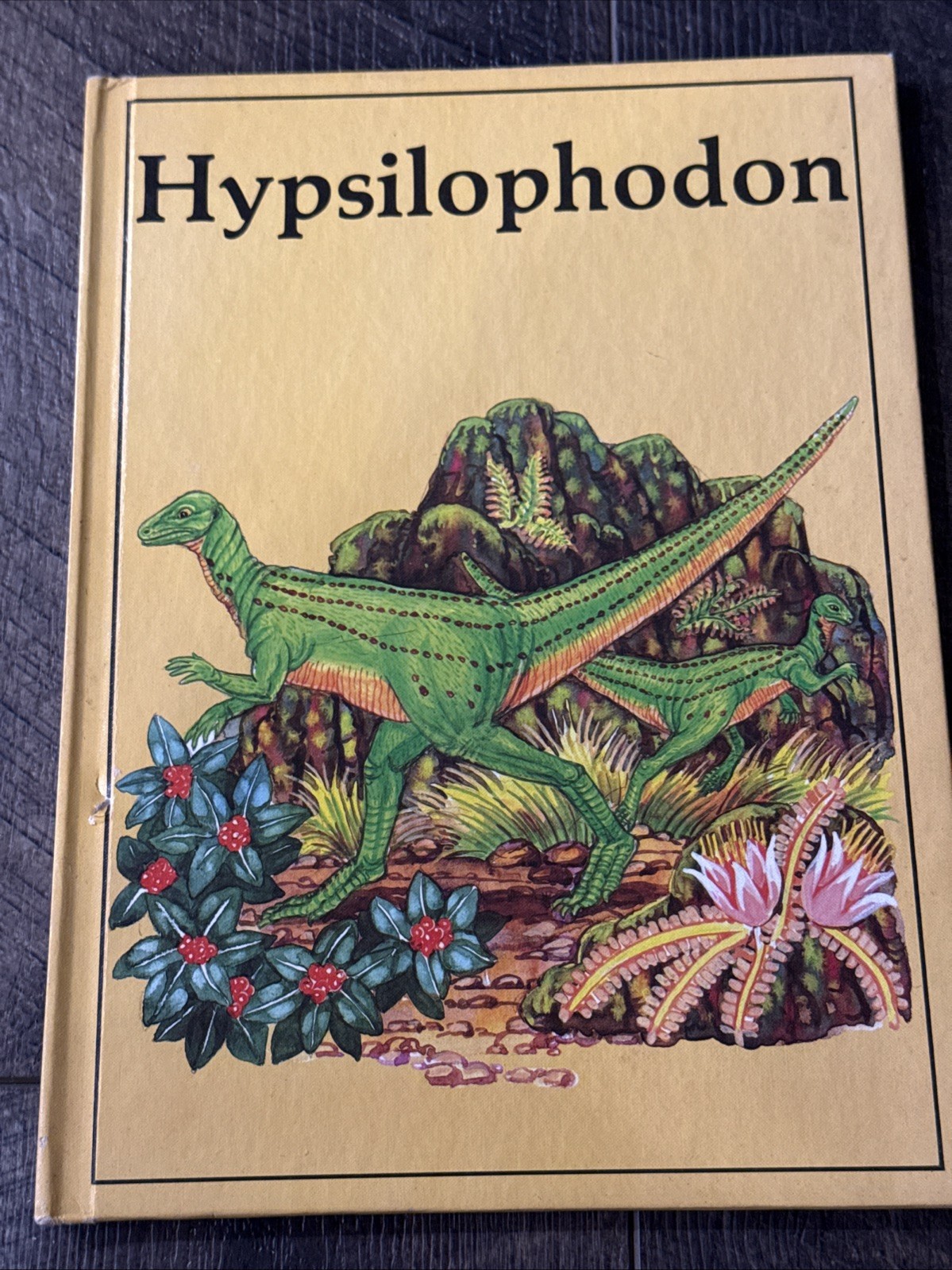 Vintage Rourke Dinosaur Library Hardcover Book Lot of 16 Kids Books Educational