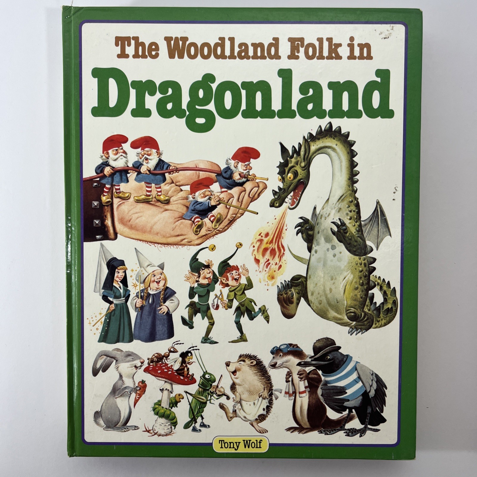 Set of 5 – The Woodland Folk Books – Gnomes Elves Fairies Dragons – Tony Wolf