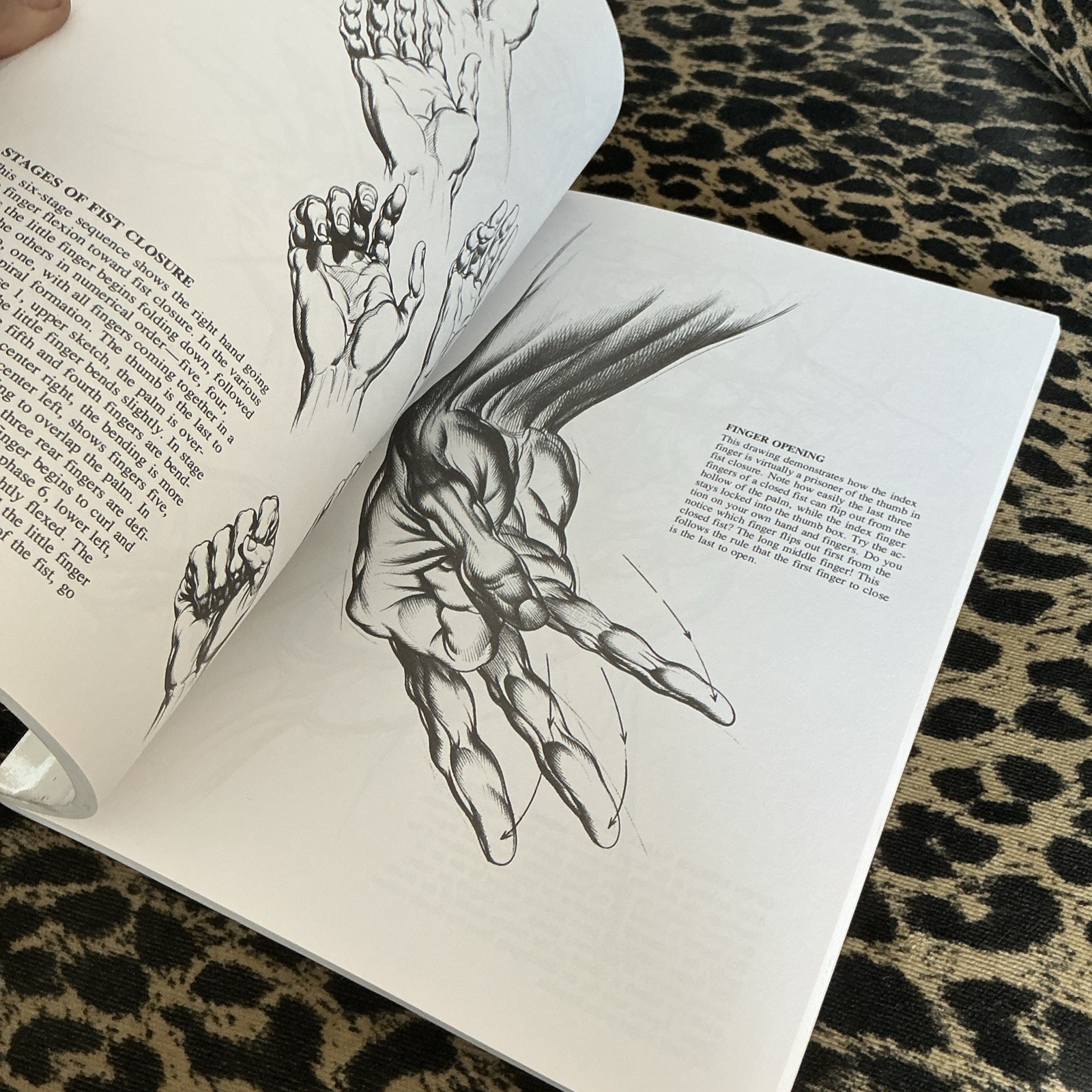 Drawing Dynamic Hands by Burne Hogarth (1988, Trade Paperback)