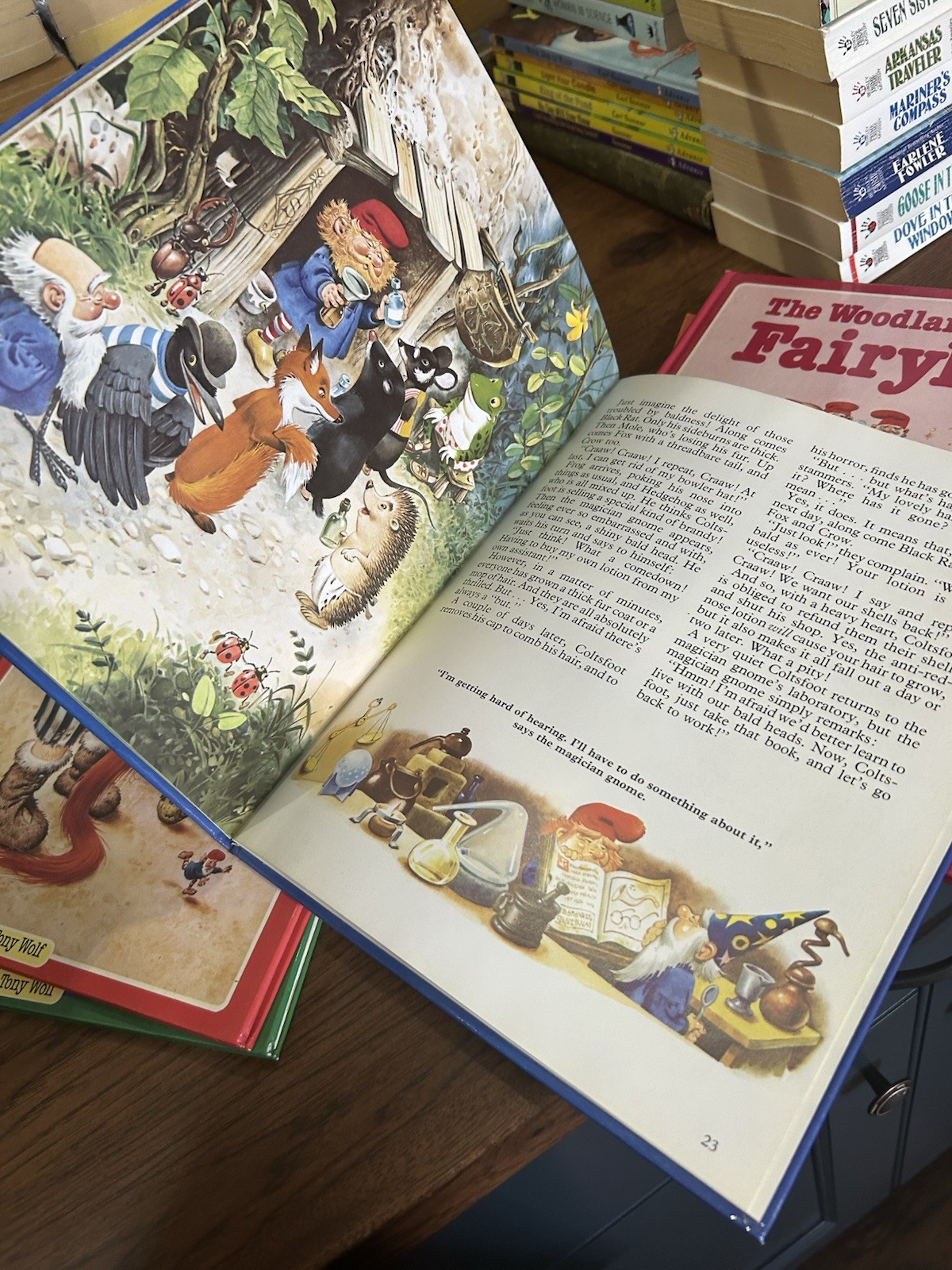 5 The Woodland Folk Meet Gnomes, Elves, Fairyland, Giants & Dragonland Tony Wolf