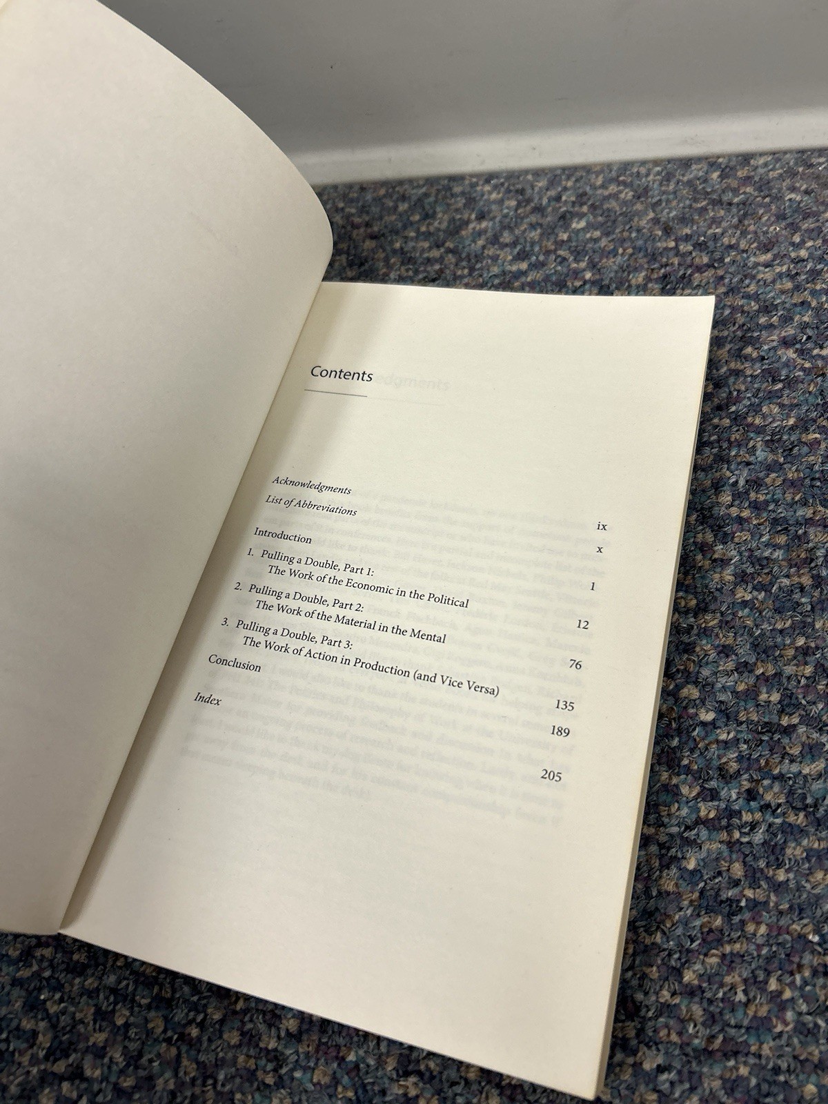The Double Shift: Spinoza and Marx on the Politics of Work, Read, Jason