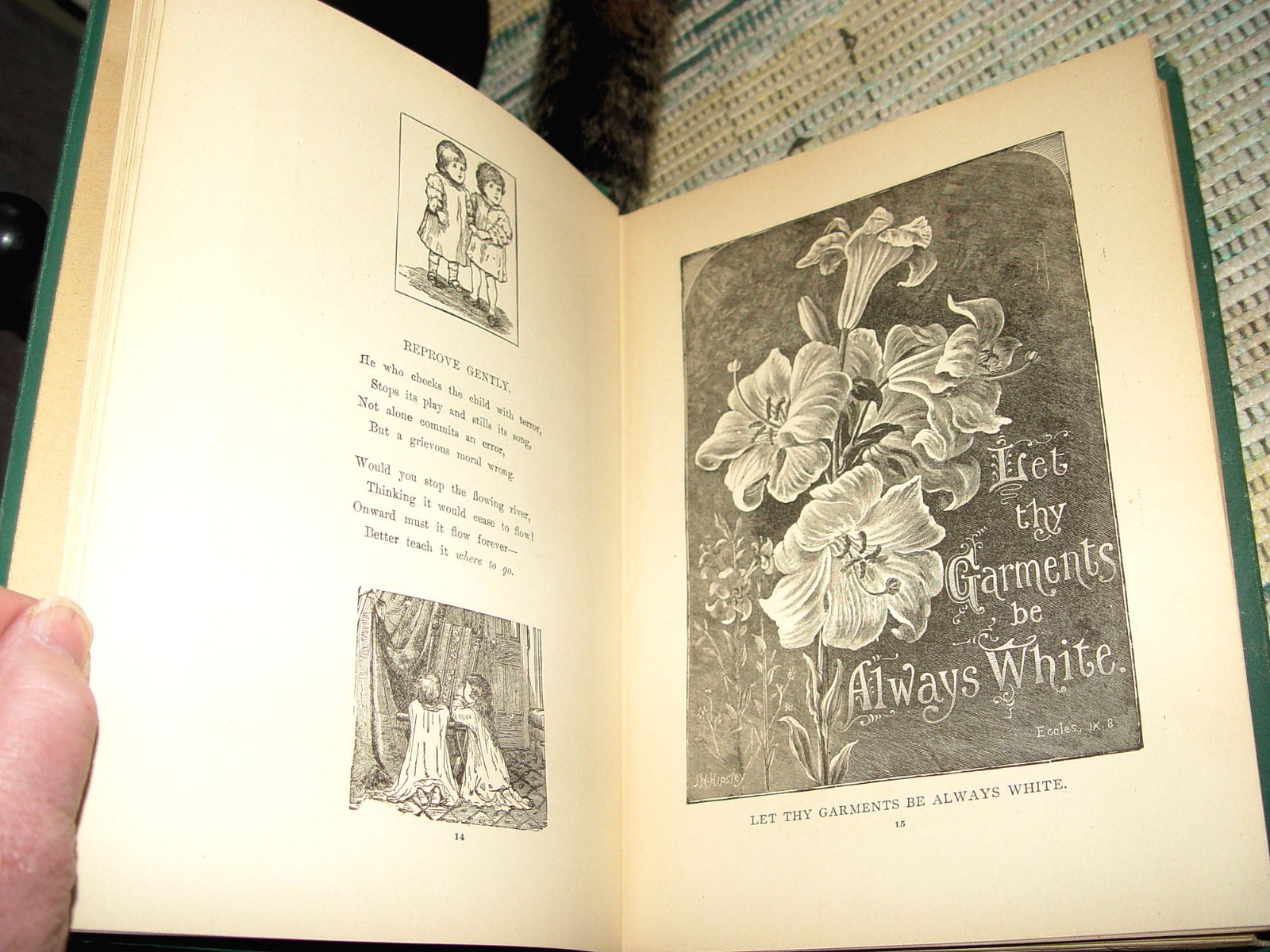 Pleasure Ways for Youthful Days 1890; Charming Recitations Grace Townsend