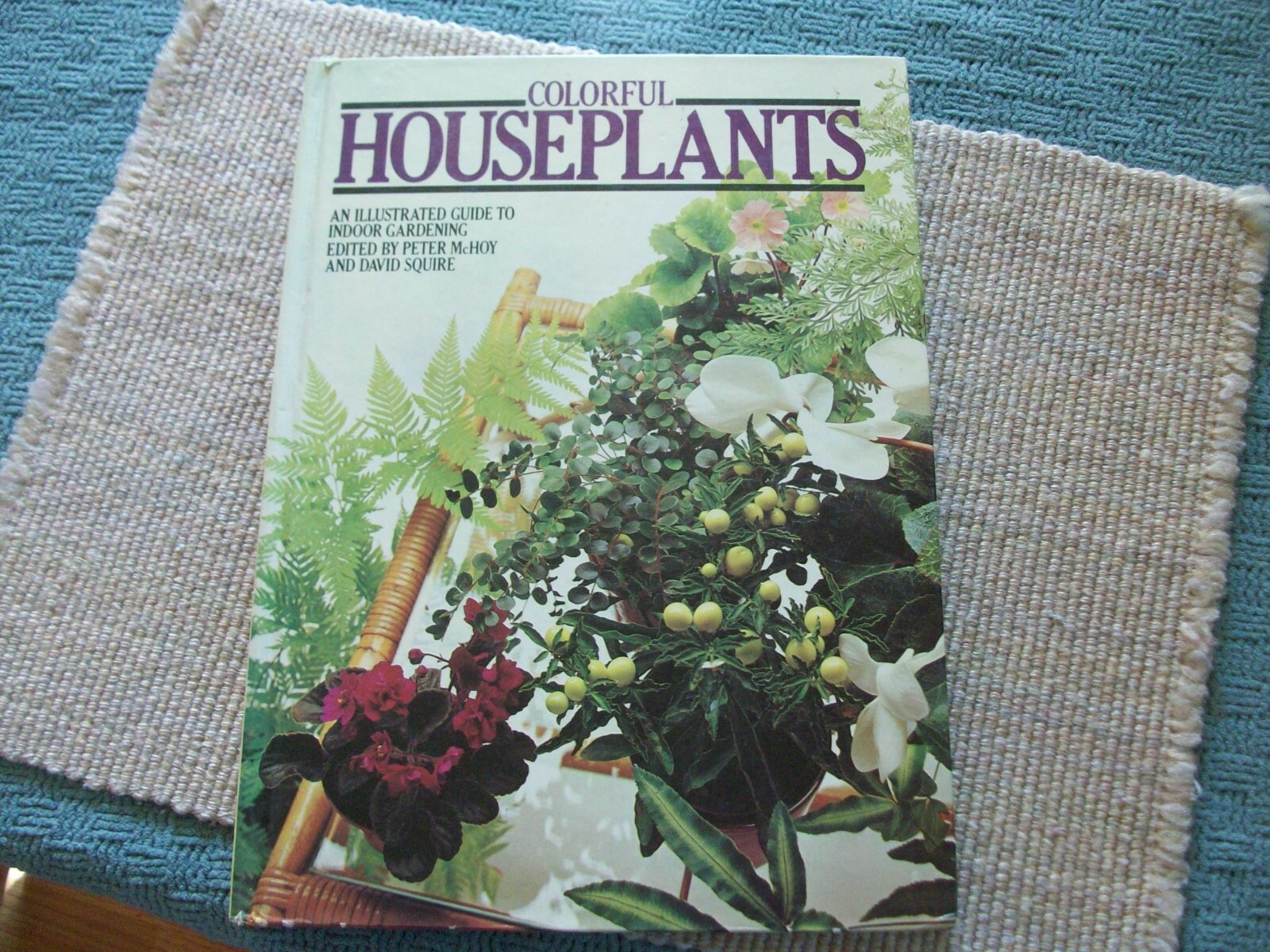 Colorful Houseplants by David Squire and Peter McHoy (1979,hardcover) gardening