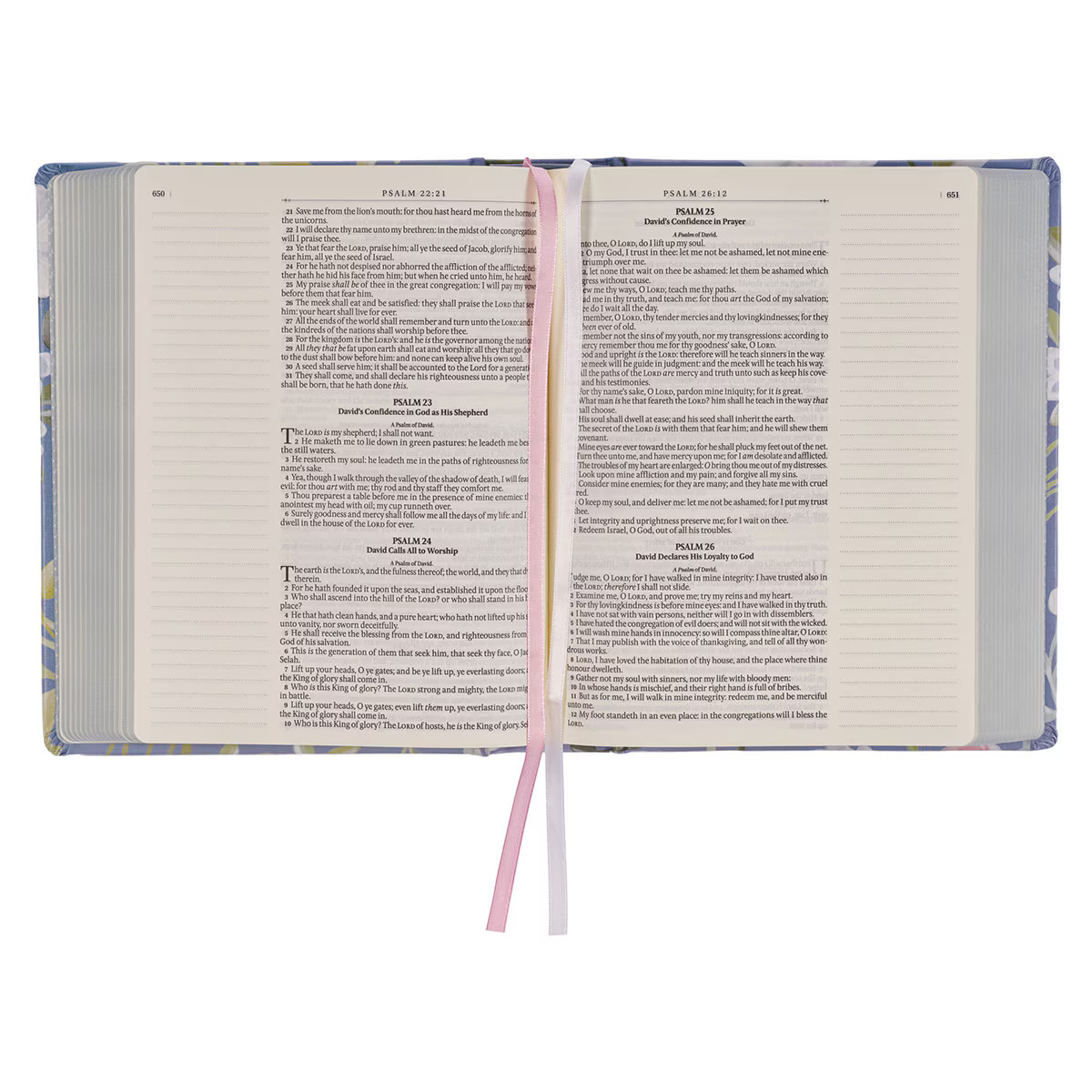 KJV Note-taking Bible, Special Edition, Journal Space, Reading Plan, Maps,